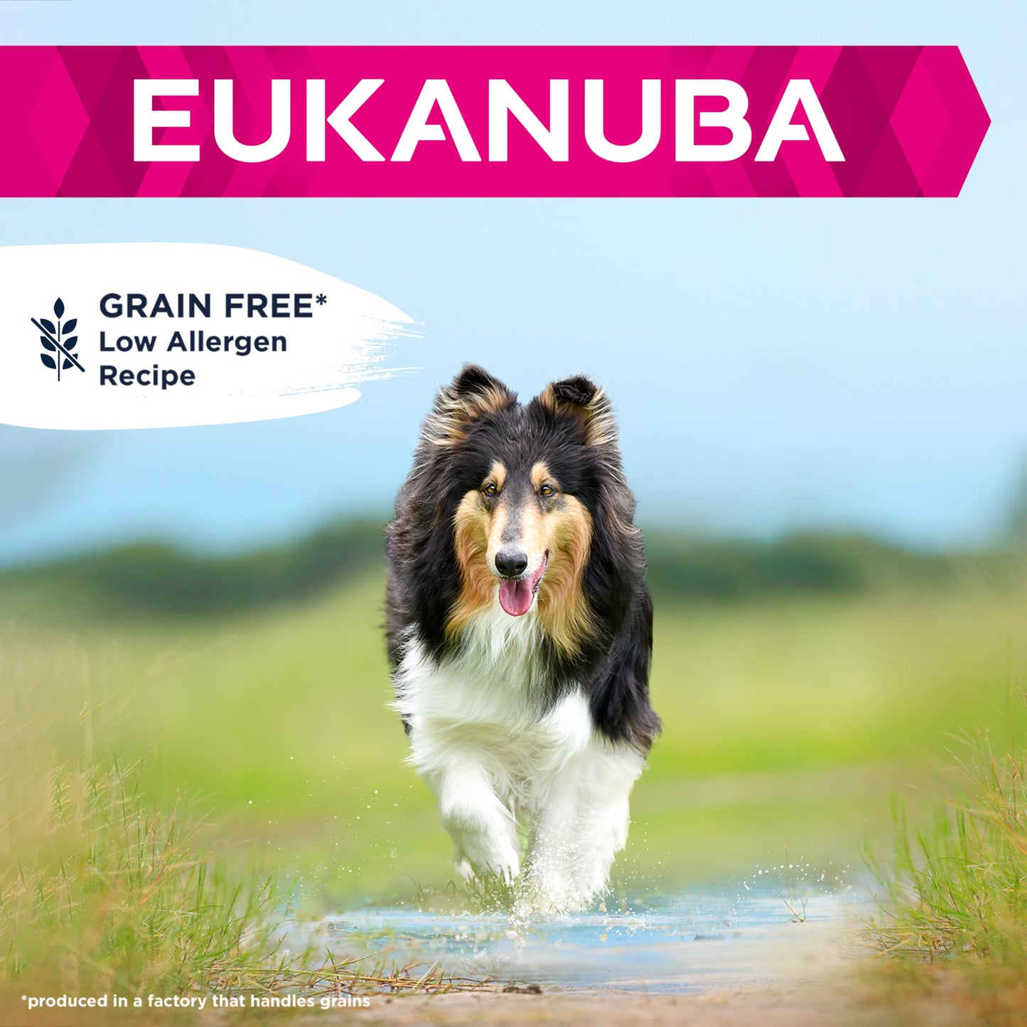 Eukanuba Complete Dry Dog Food for Adult Large and Giant Breeds