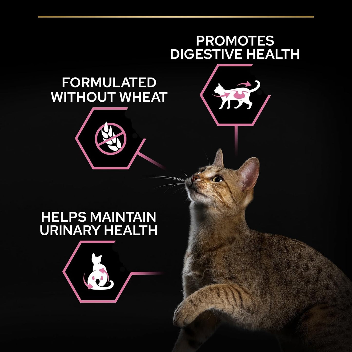 PRO PLAN® Adult 1+ RENAL PLUS Dry Cat Food