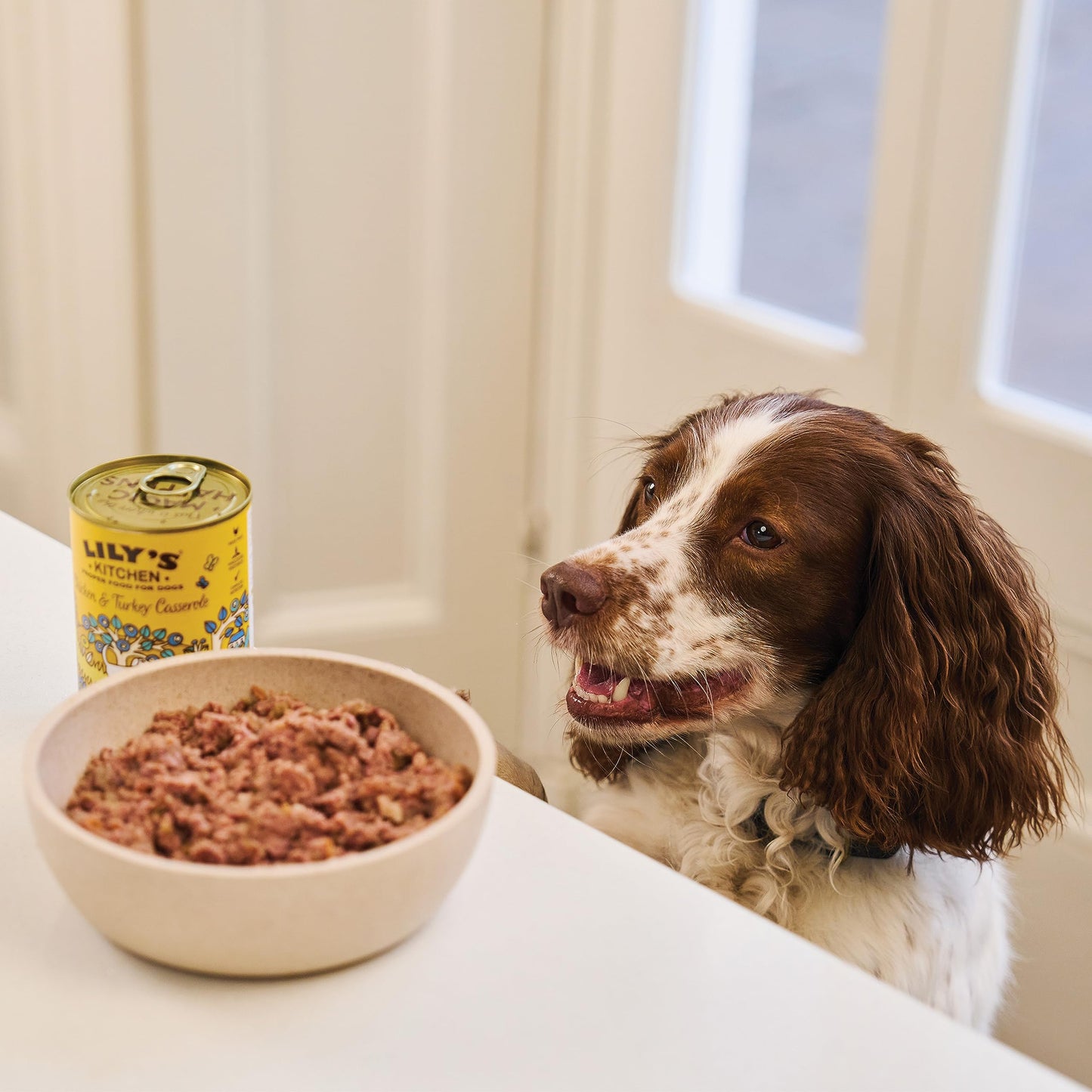 Lily's Kitchen Natural Adult Wet Dog Food Tins Grain-Free Recipe Variety pack 400g