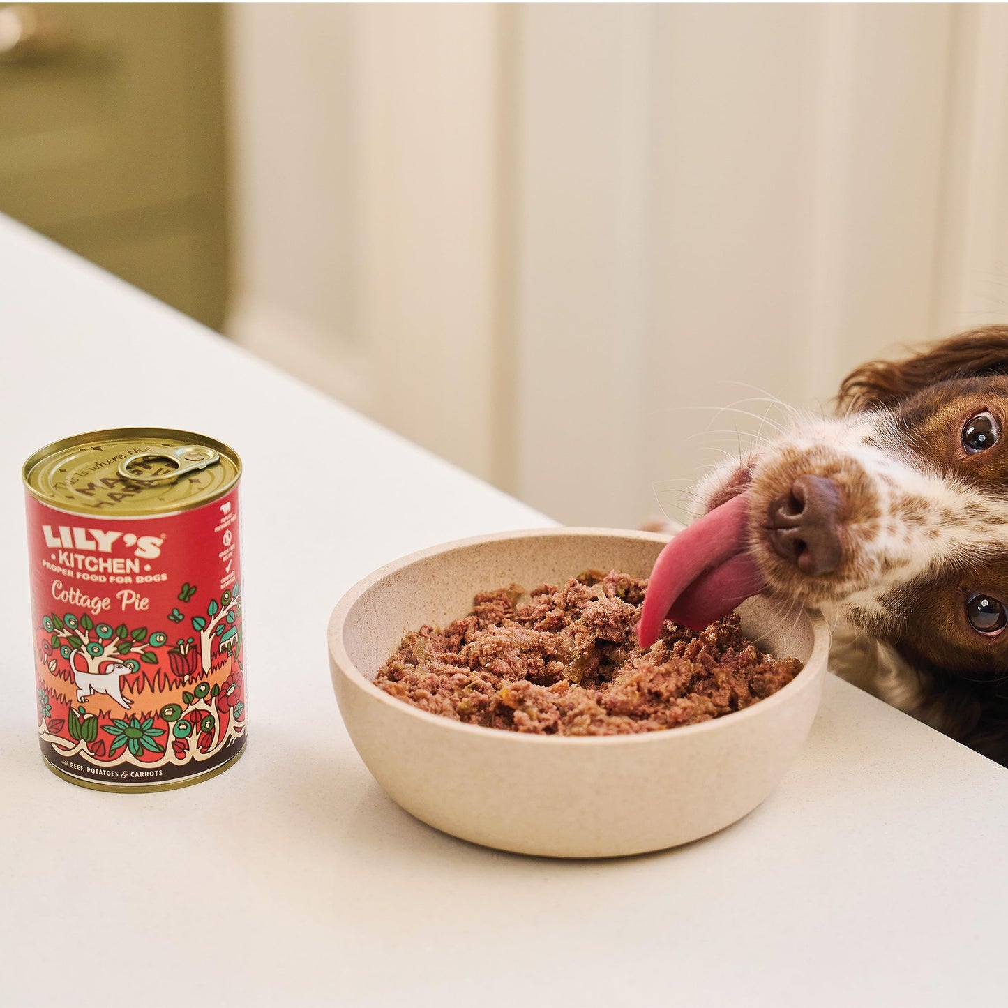 Lily's Kitchen Natural Adult Wet Dog Food Tray Cottage Pie Grain-Free Recipe 10 x 150g