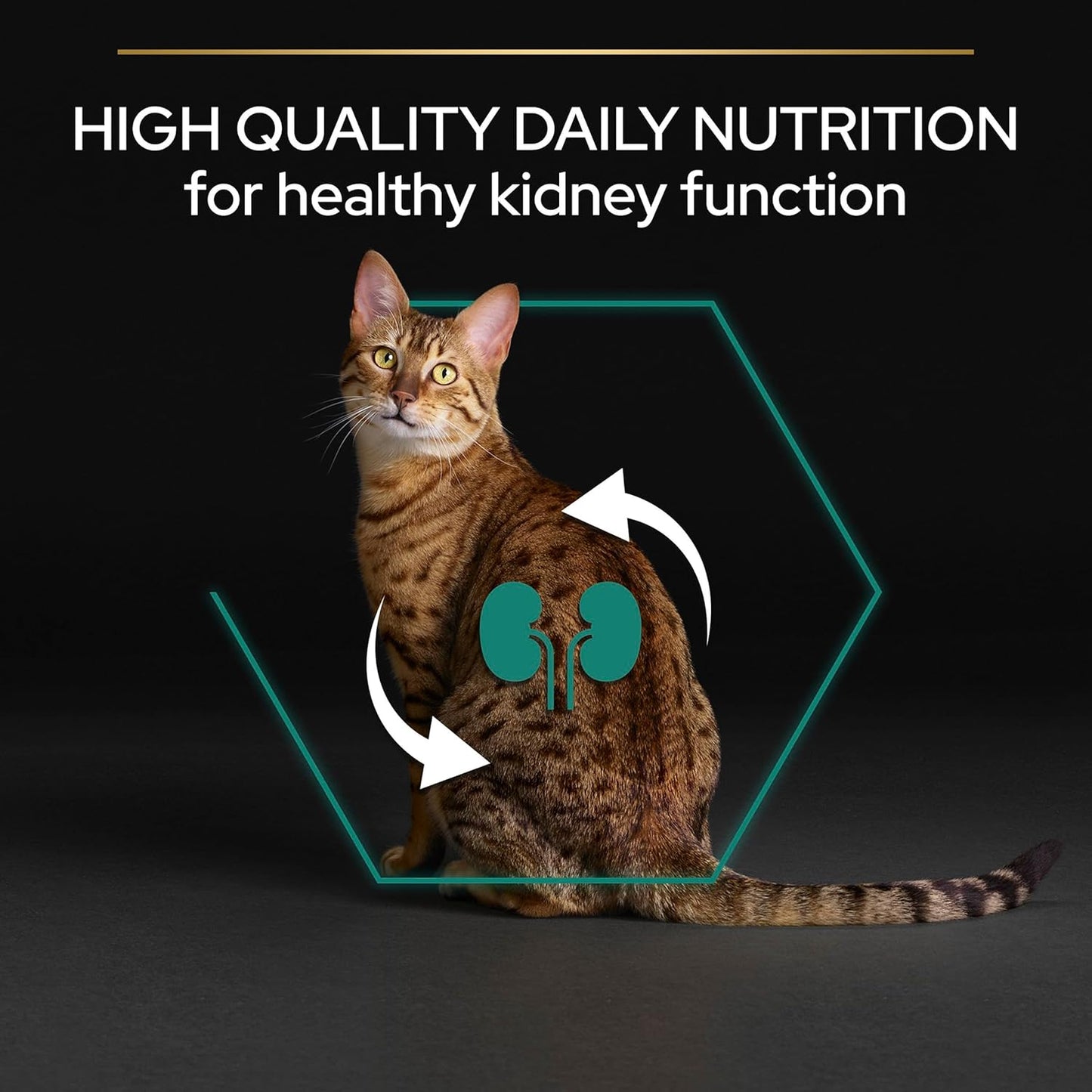 PRO PLAN® Adult 1+ RENAL PLUS Dry Cat Food