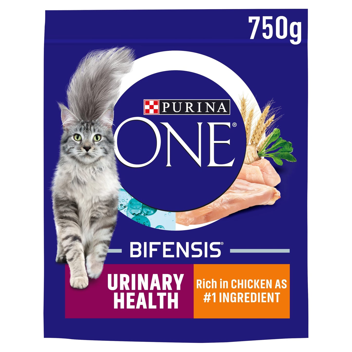 PURINA ONE Dry Cat Food
