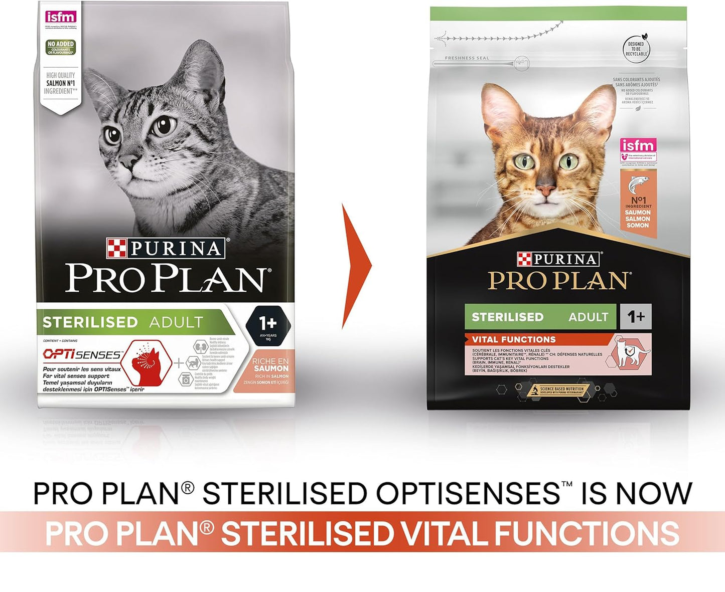 PRO PLAN® Adult 1+ RENAL PLUS Dry Cat Food