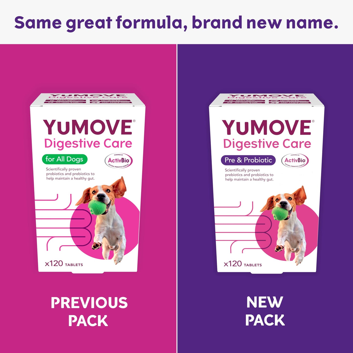 YuMOVE Digestive Care, Dog Pre and Probiotics Supplement for Gut Health, Digestive Support for All Ages and Breeds, 120 Tablets - Eco Friendly and Letter Box Ready Packaging