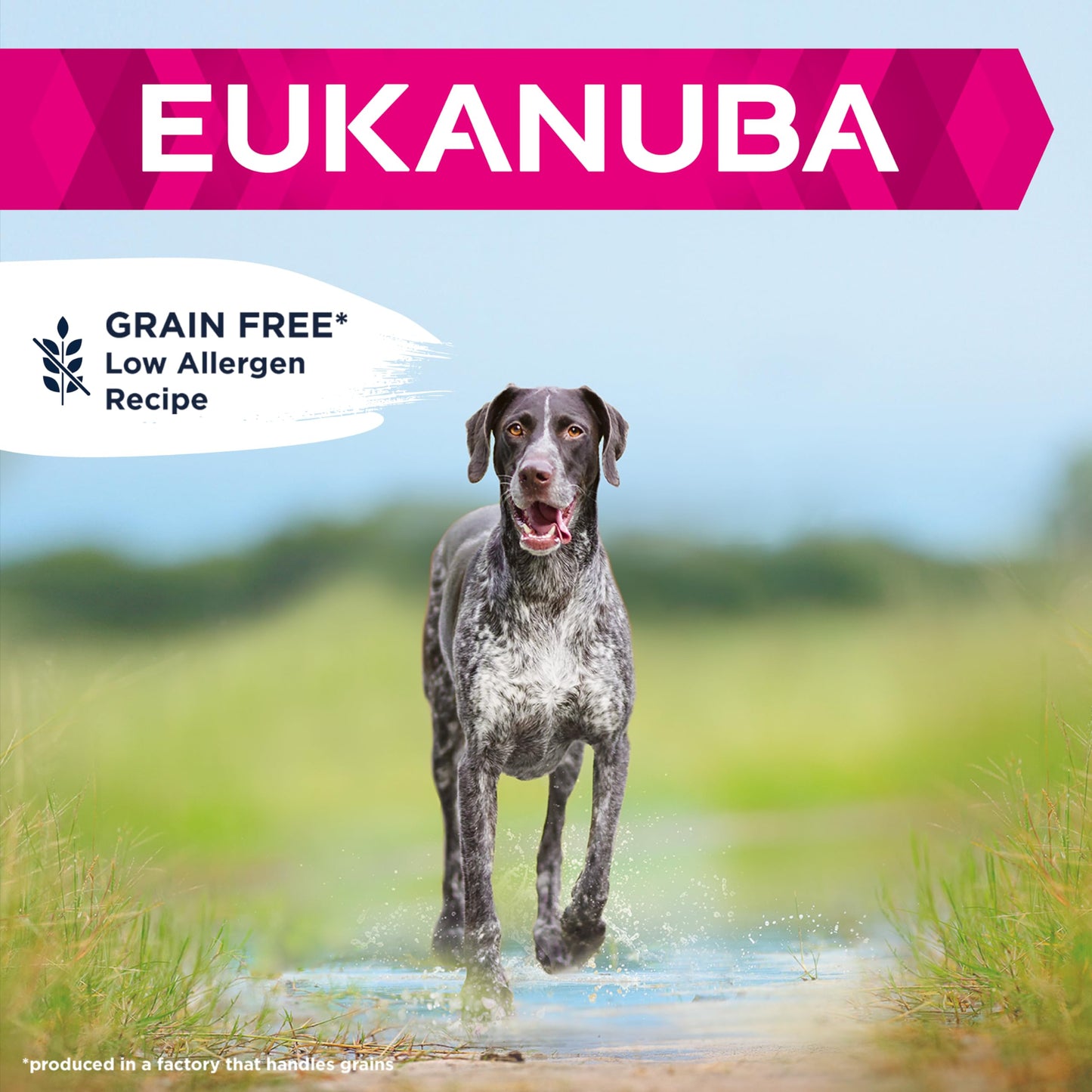 Eukanuba Complete Dry Dog Food for Adult Large and Giant Breeds