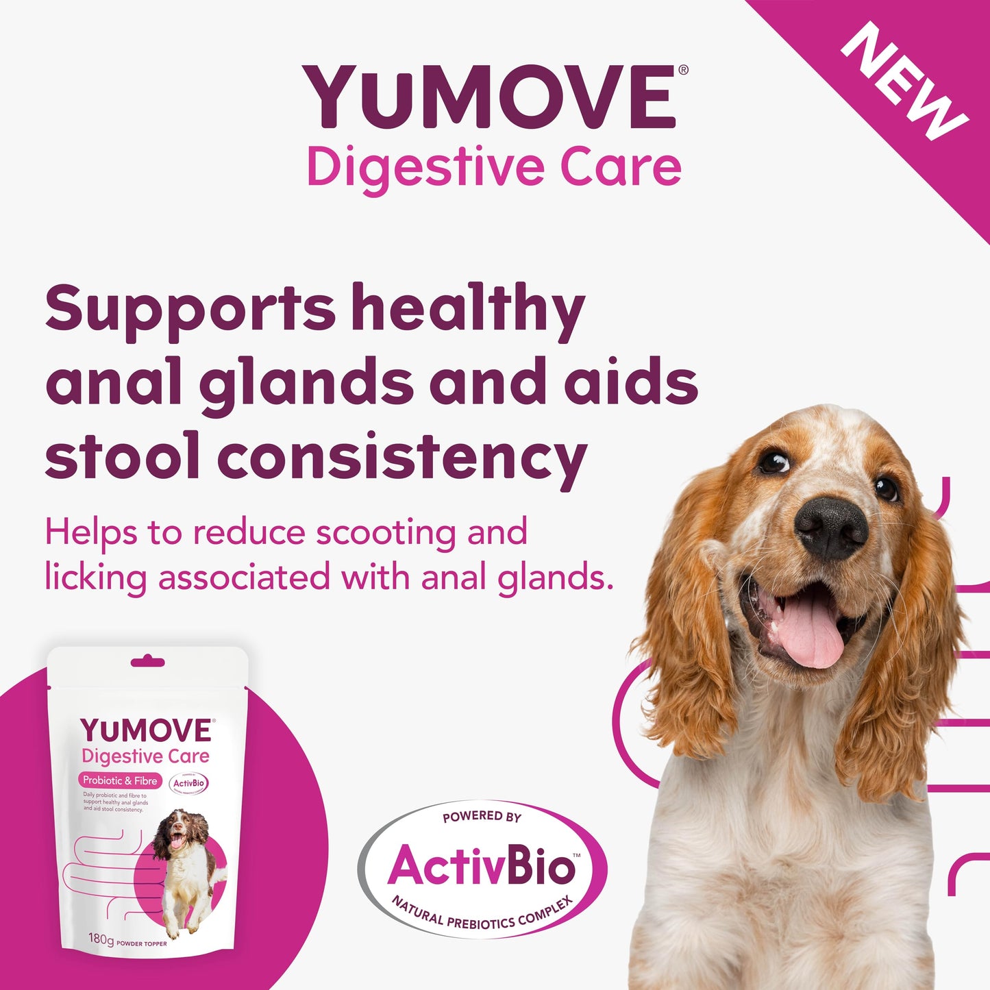 YuMOVE Digestive Care, Dog Pre and Probiotics Supplement for Gut Health, Digestive Support for All Ages and Breeds, 120 Tablets - Eco Friendly and Letter Box Ready Packaging