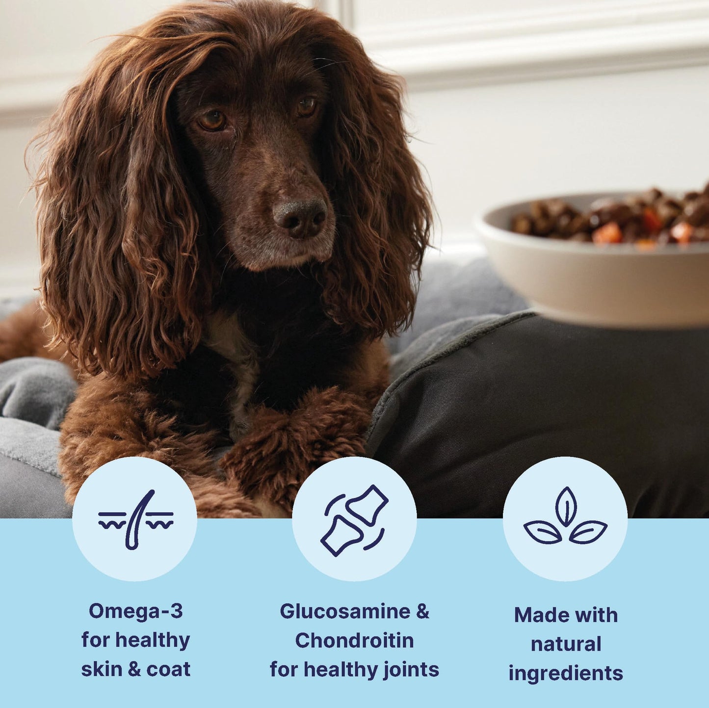 Tails.com Inner Vitality • Wet Dog Food 11 x 150g • Sensitive Chicken & Cod • Adult 1-7 years • Grain Free Recipe • Made with natural ingredients • Contains Omega 3 to Support Skin and Coat