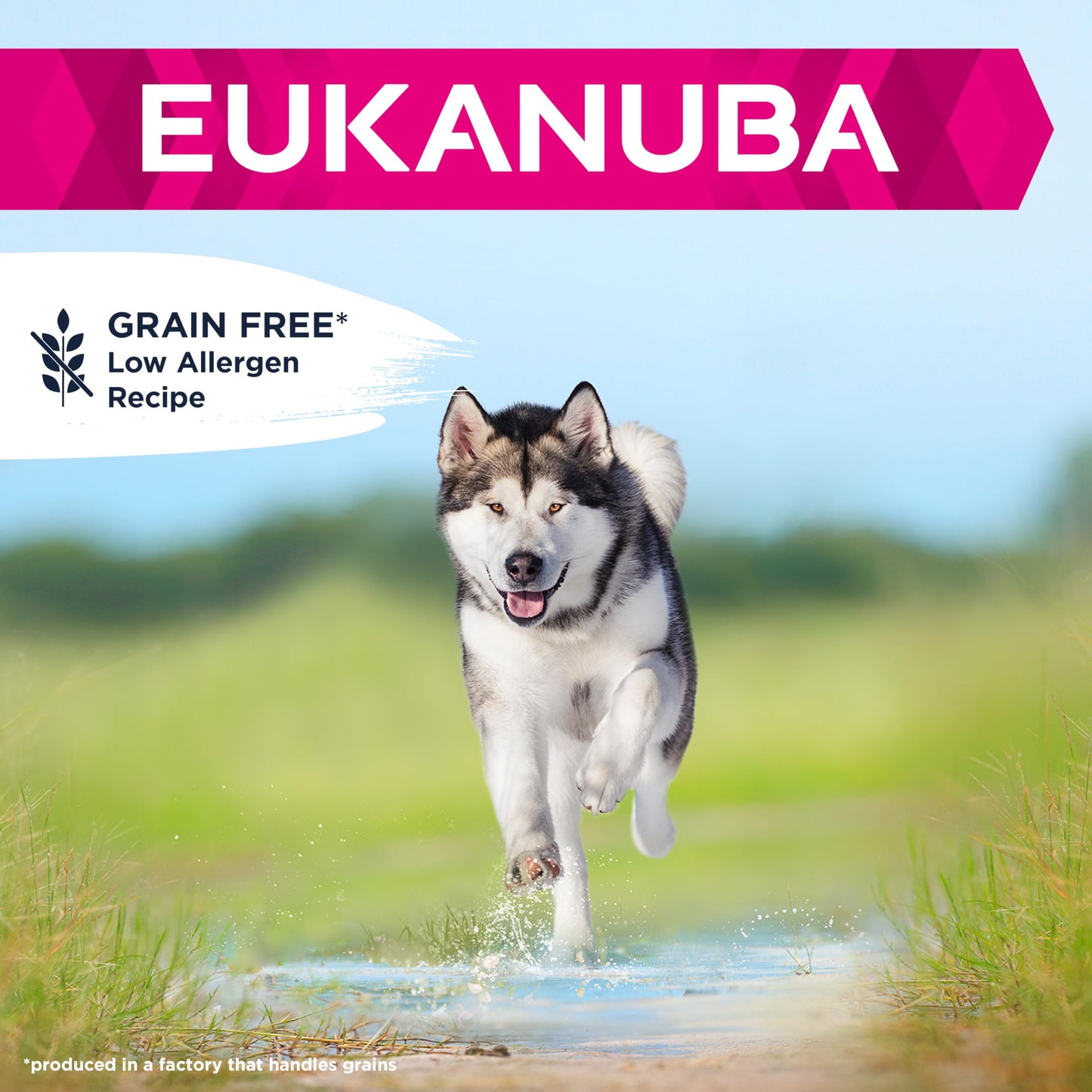 Eukanuba Complete Dry Dog Food for Adult Large and Giant Breeds