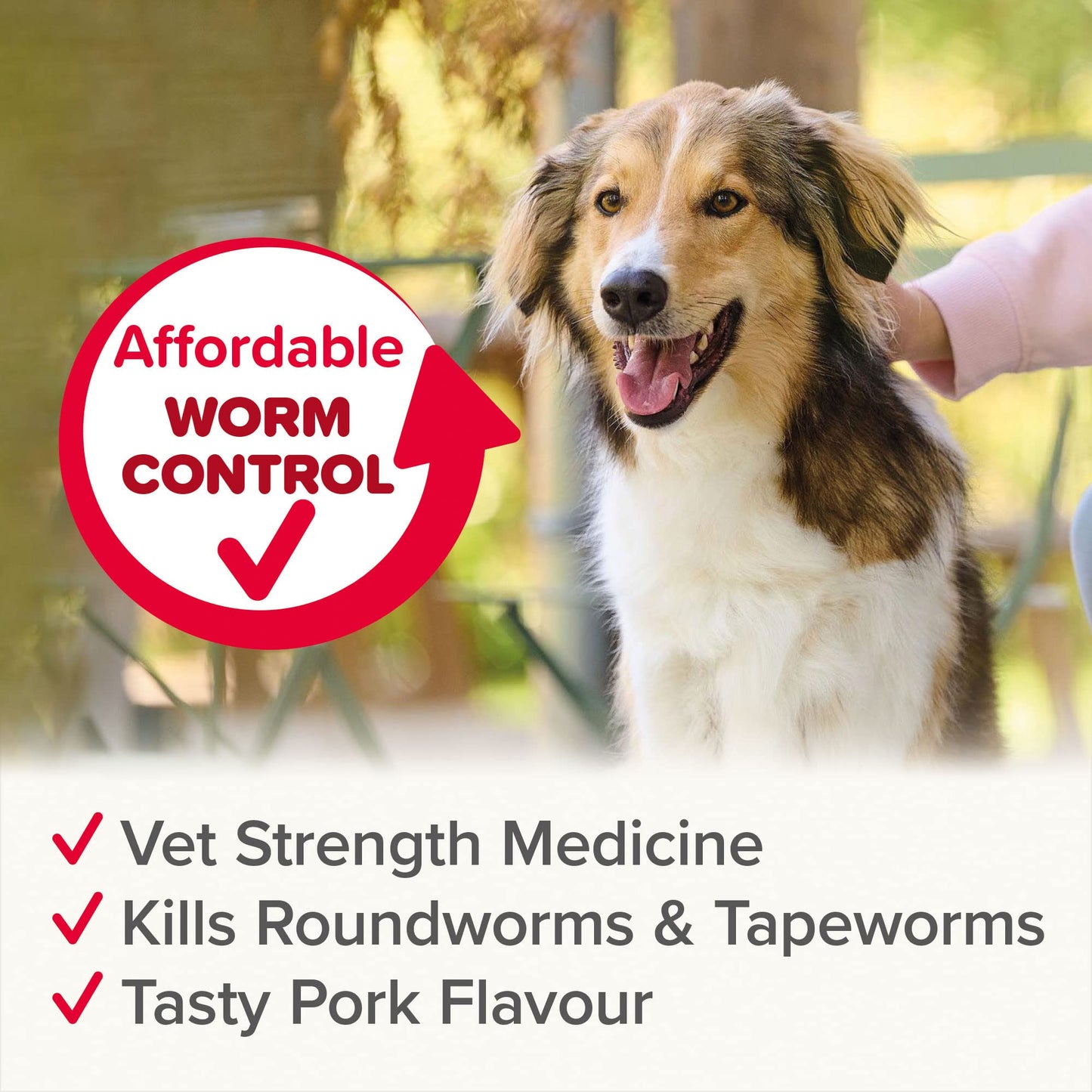 Beaphar | WORMclear® Tablets for Dogs up to 40kg | Kills All Common UK Intestinal Worms (Roundworms & Tapeworms) | Vet Strength Treatment | Pork-flavoured | 4 tablets