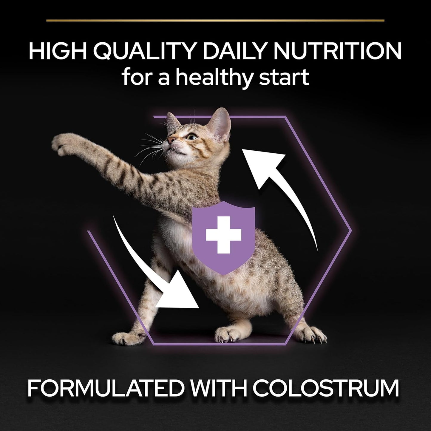 PRO PLAN® Adult 1+ RENAL PLUS Dry Cat Food