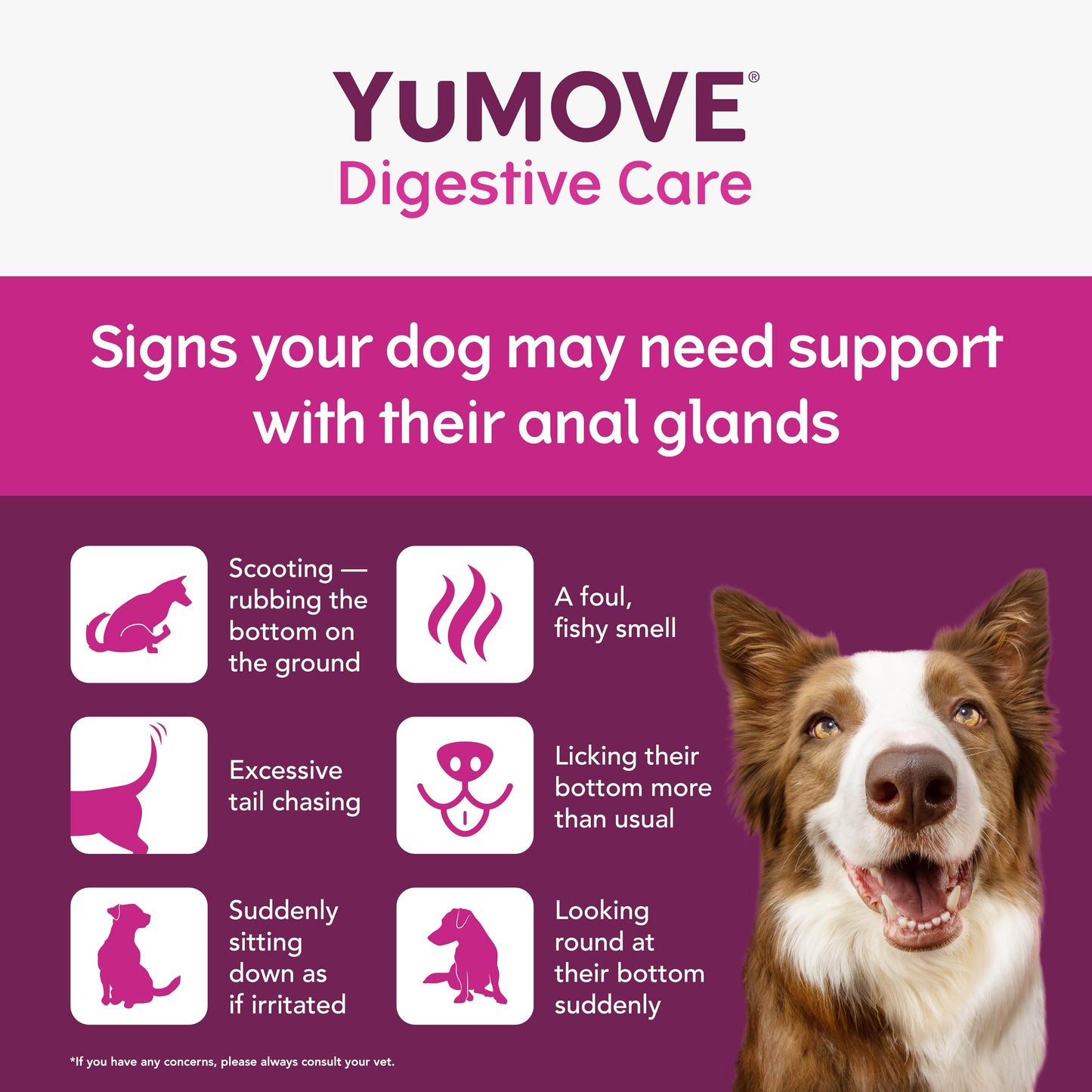 YuMOVE Digestive Care, Dog Pre and Probiotics Supplement for Gut Health, Digestive Support for All Ages and Breeds, 120 Tablets - Eco Friendly and Letter Box Ready Packaging