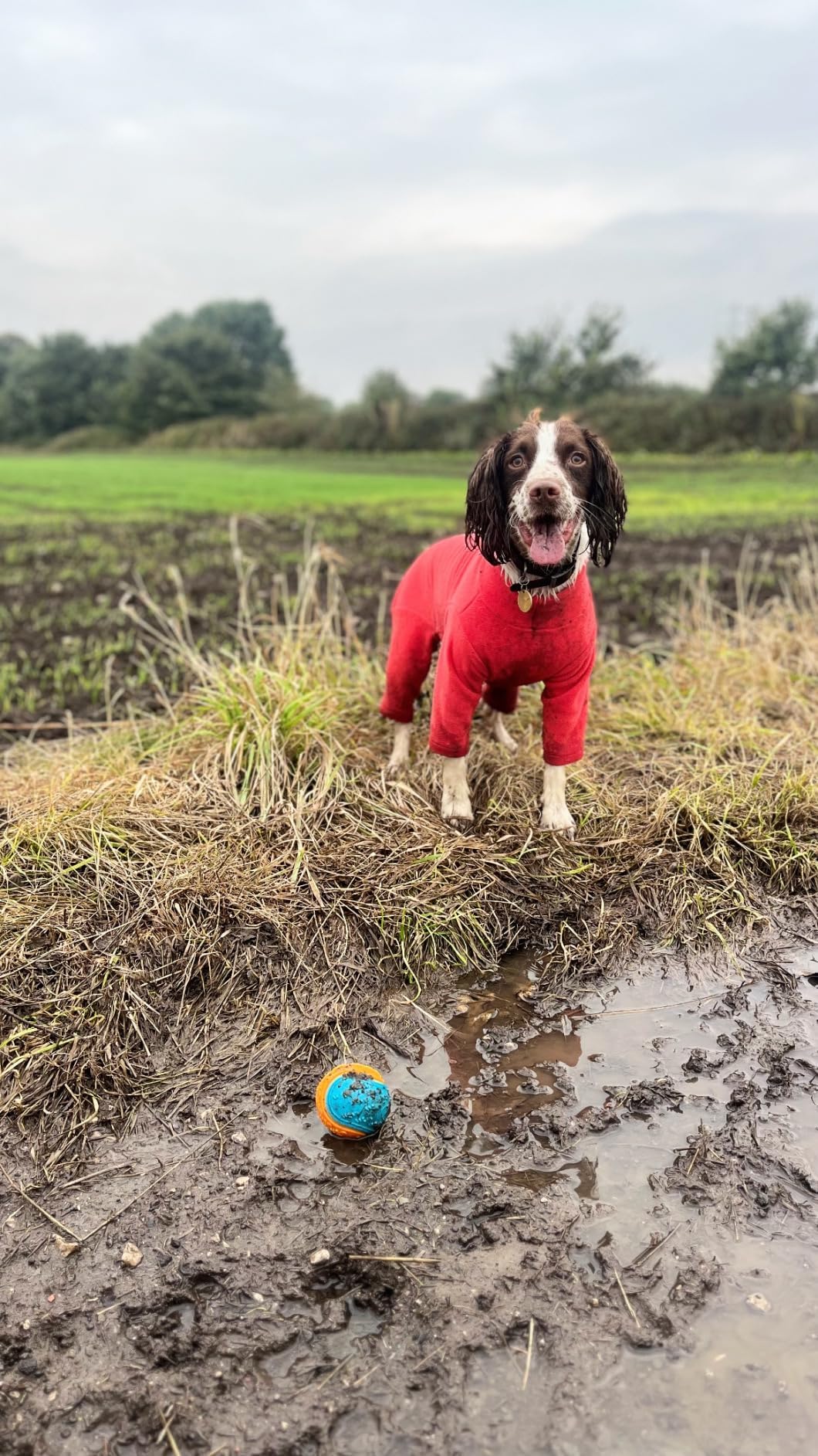 Warm Four-Legged Dog Fleece – Super Soft, Weather-Resistant, Available in a Range of Sizes and Colours
