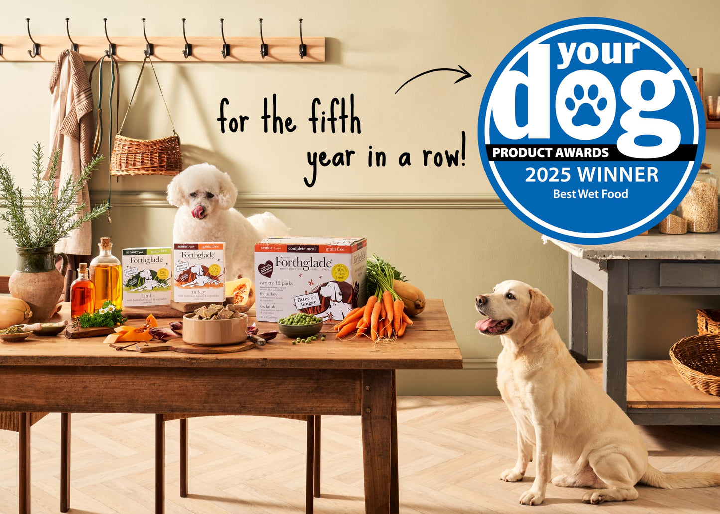 Forthglade Wet Dog Food Variety Pack - Senior 7 Years+, Grain Free & Hypoallergenic Dog Food, Turkey & Lamb with Vegetables, Stomach Sensitive Meals with Natural Ingredients