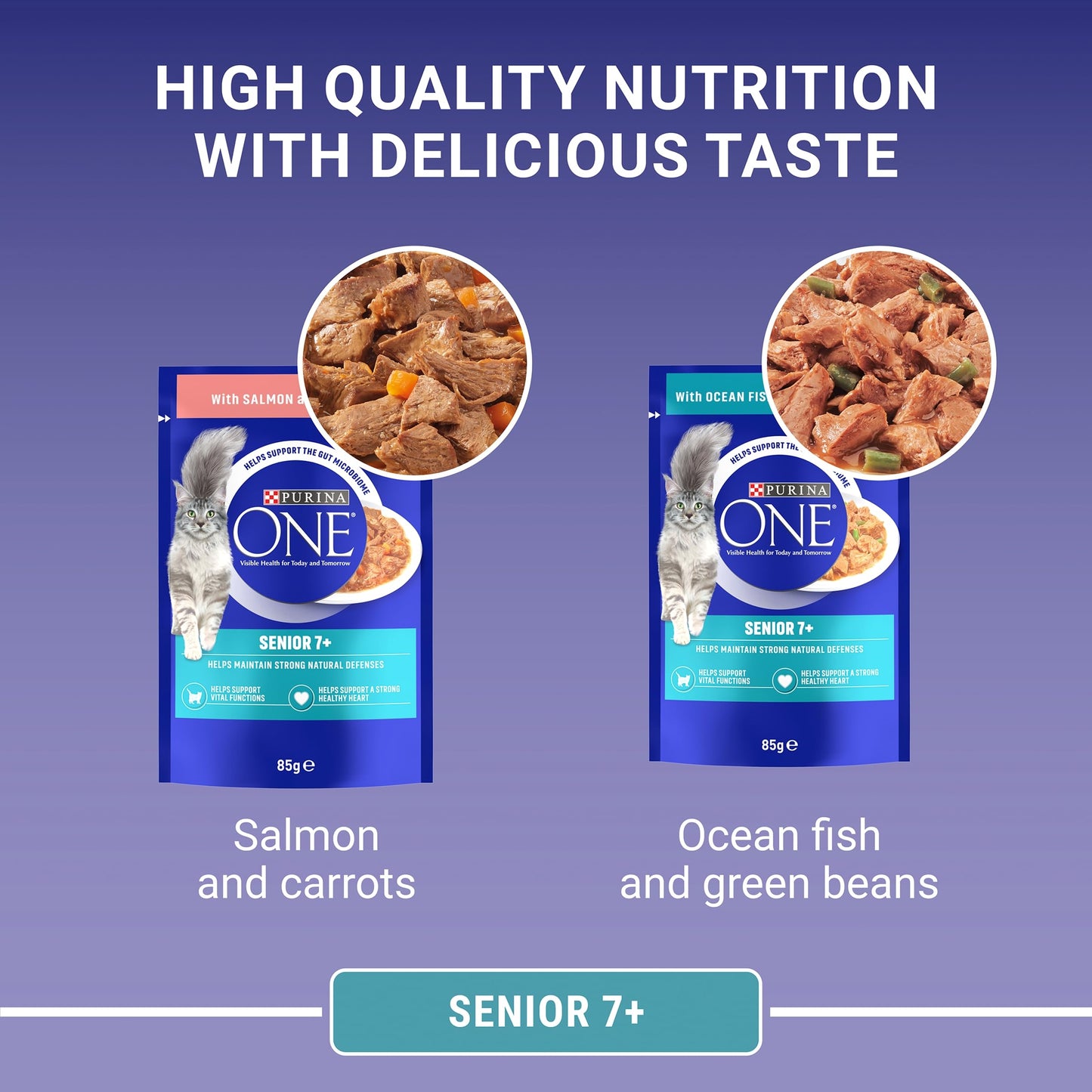 PURINA ONE Adult Cat Food Mini Fillets in Gravy 40 x 85g