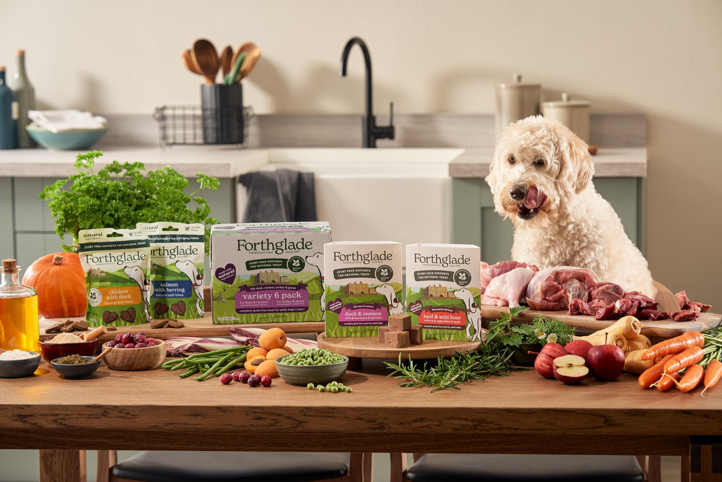 Forthglade Wet Dog Food, National Trust Variety Pack - Grain Free & Hypoallergenic Dog Food, Adult 1 Year+, Turkey & Goose and Duck & Venison, Stomach Sensitive, Natural Ingredients