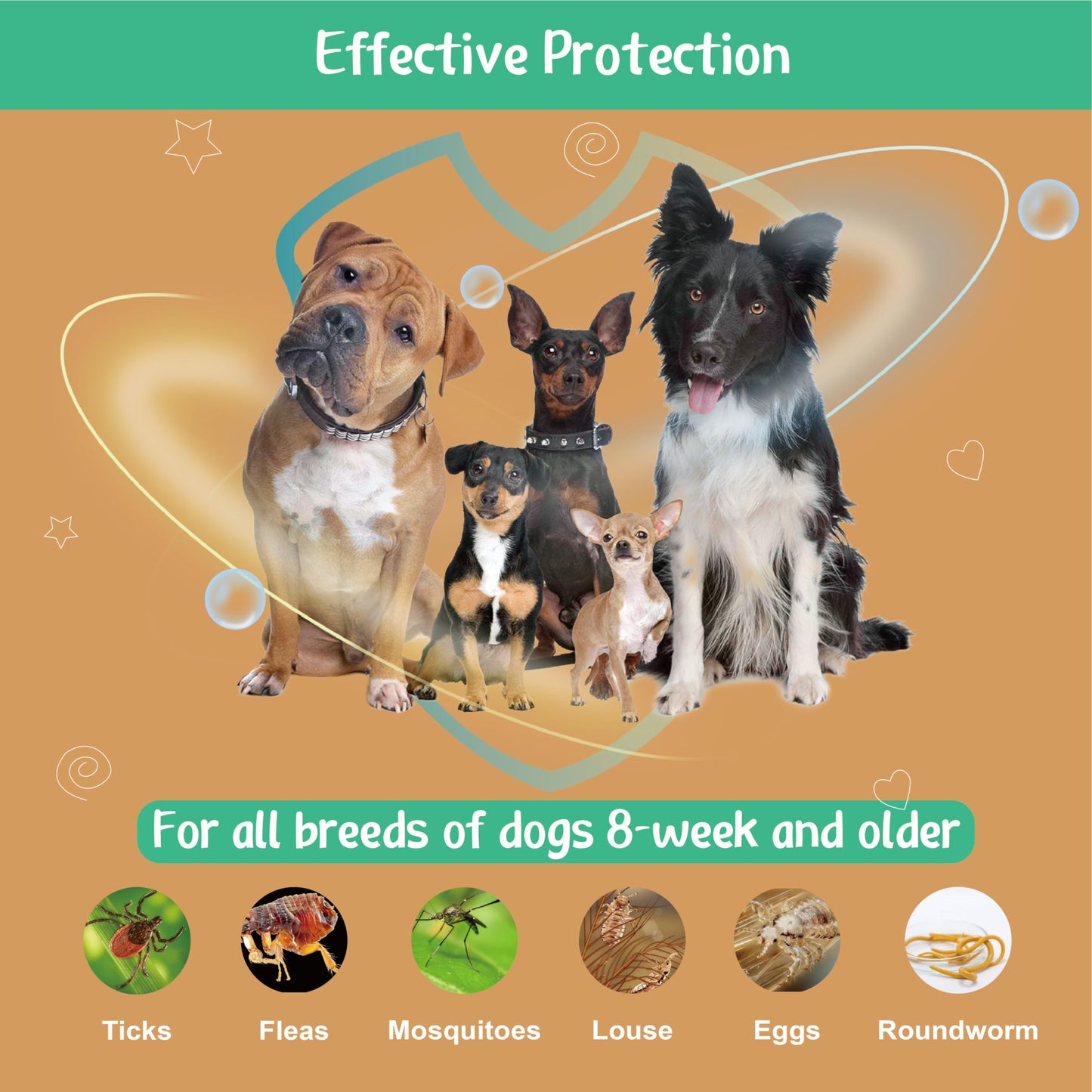 Natural Spot on Flea and Tick Treatment for Dogs, Flea and Tick Prevention for Dogs, Dog Flea Treatment, Fast Acting & Waterproof, 3 Pipettes (11-20kg Medium Dogs)