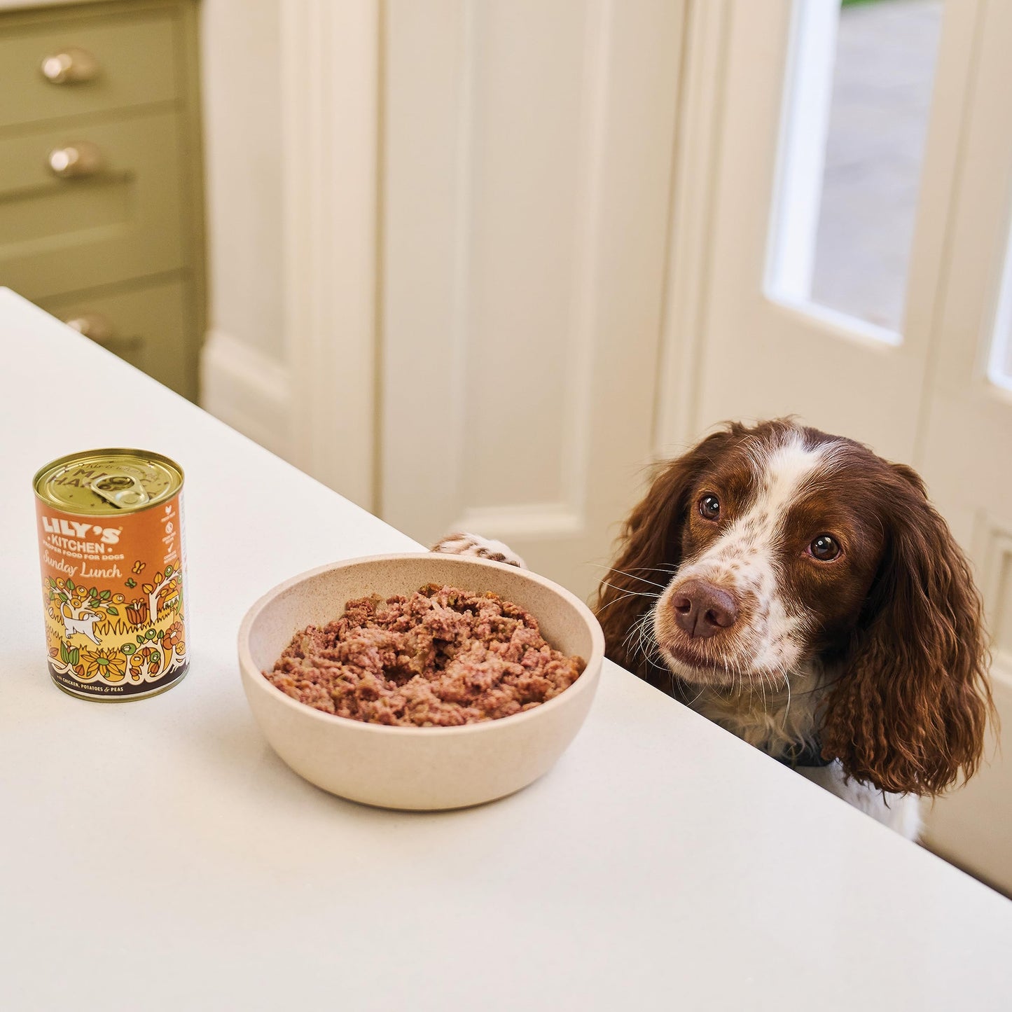 Lily's Kitchen Natural Adult Dog Food Wet Trays - Classic Dinners Multipack - Chicken, Lamb & Beef - Complete Meal Recipes