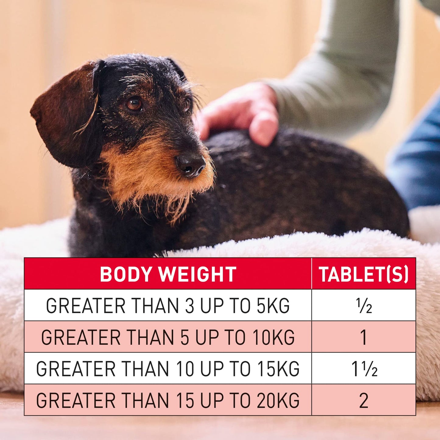 Beaphar | WORMclear® Tablets for Dogs up to 40kg | Kills All Common UK Intestinal Worms (Roundworms & Tapeworms) | Vet Strength Treatment | Pork-flavoured | 4 tablets