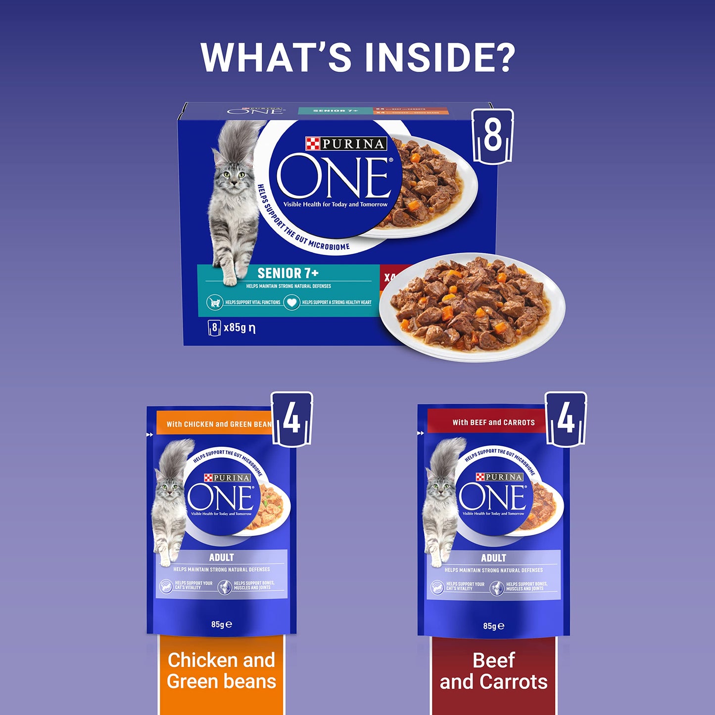 PURINA ONE Adult Cat Food Mini Fillets in Gravy 40 x 85g