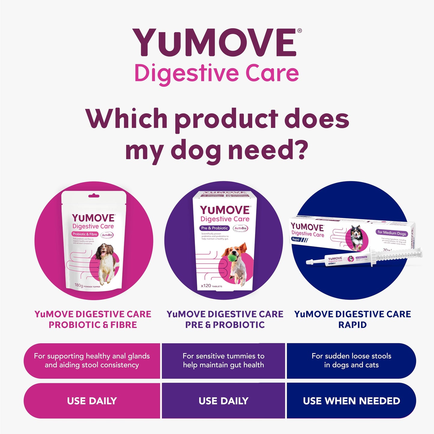 YuMOVE Digestive Care, Dog Pre and Probiotics Supplement for Gut Health, Digestive Support for All Ages and Breeds, 120 Tablets - Eco Friendly and Letter Box Ready Packaging