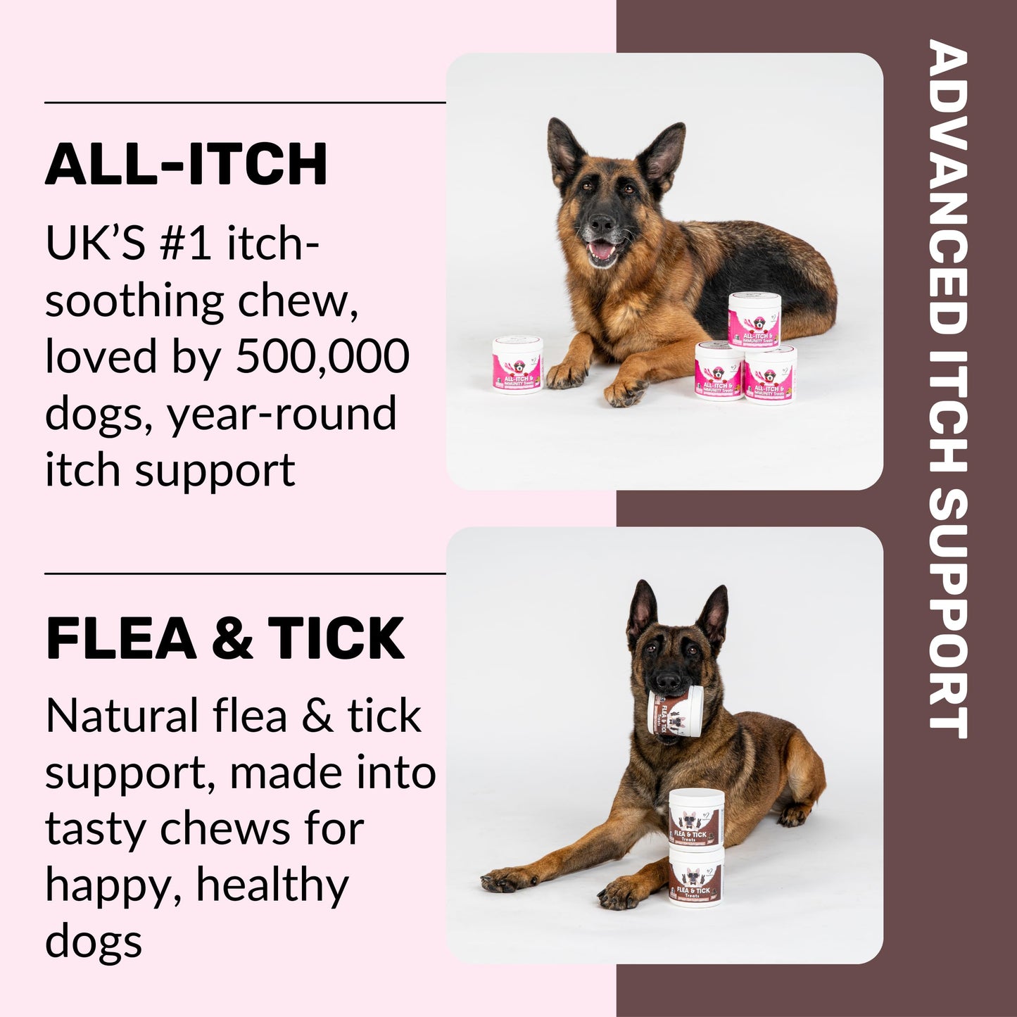 NutriPaw All-Itch, Flea & Tick Treats For Dogs - Soothe Itchy Paws, Eyes, Ears, Skin - Naturally Control Fleas & Ticks - Good for Small, Medium & Large Dogs - Supports Seasonal Itching