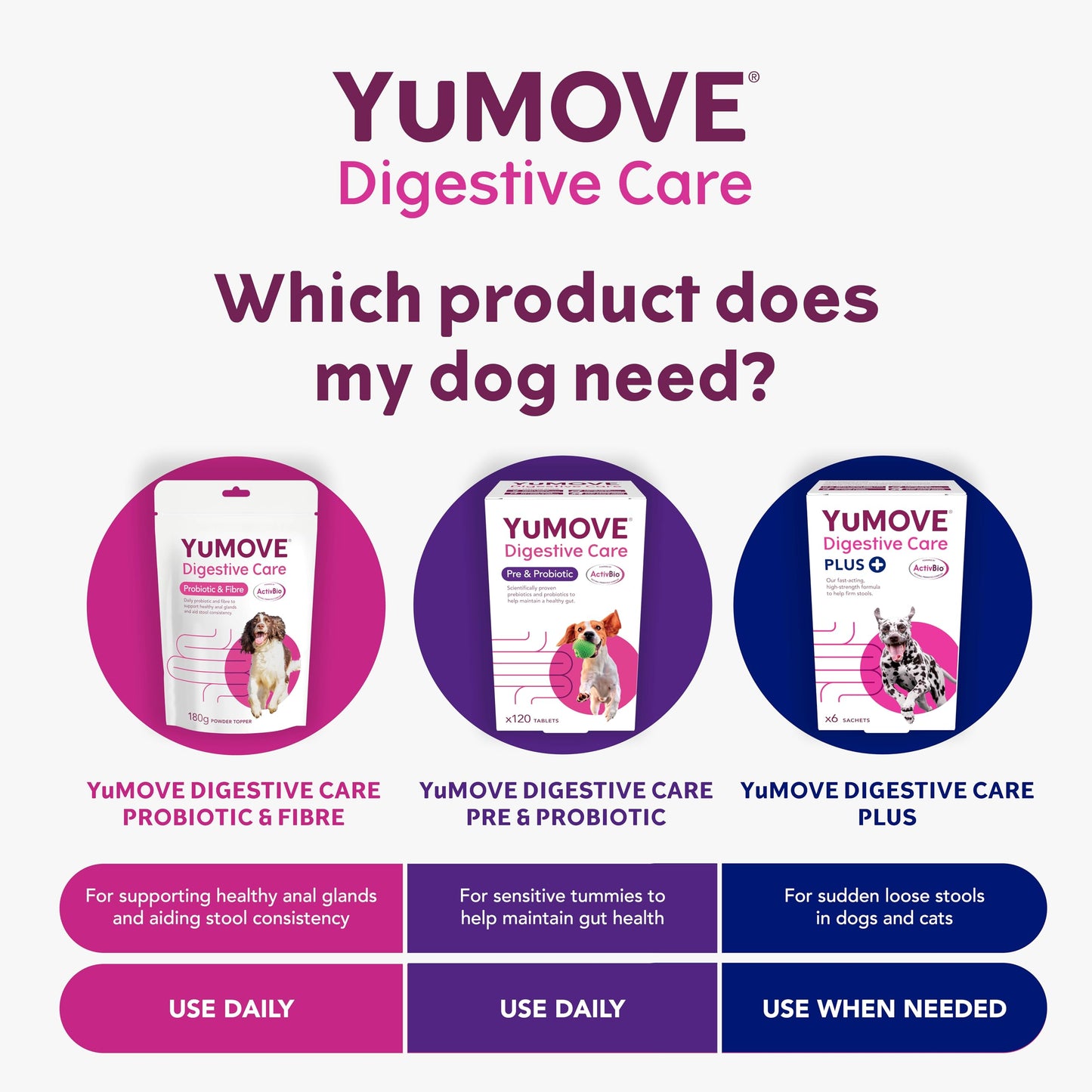 YuMOVE Digestive Care, Dog Pre and Probiotics Supplement for Gut Health, Digestive Support for All Ages and Breeds, 120 Tablets - Eco Friendly and Letter Box Ready Packaging