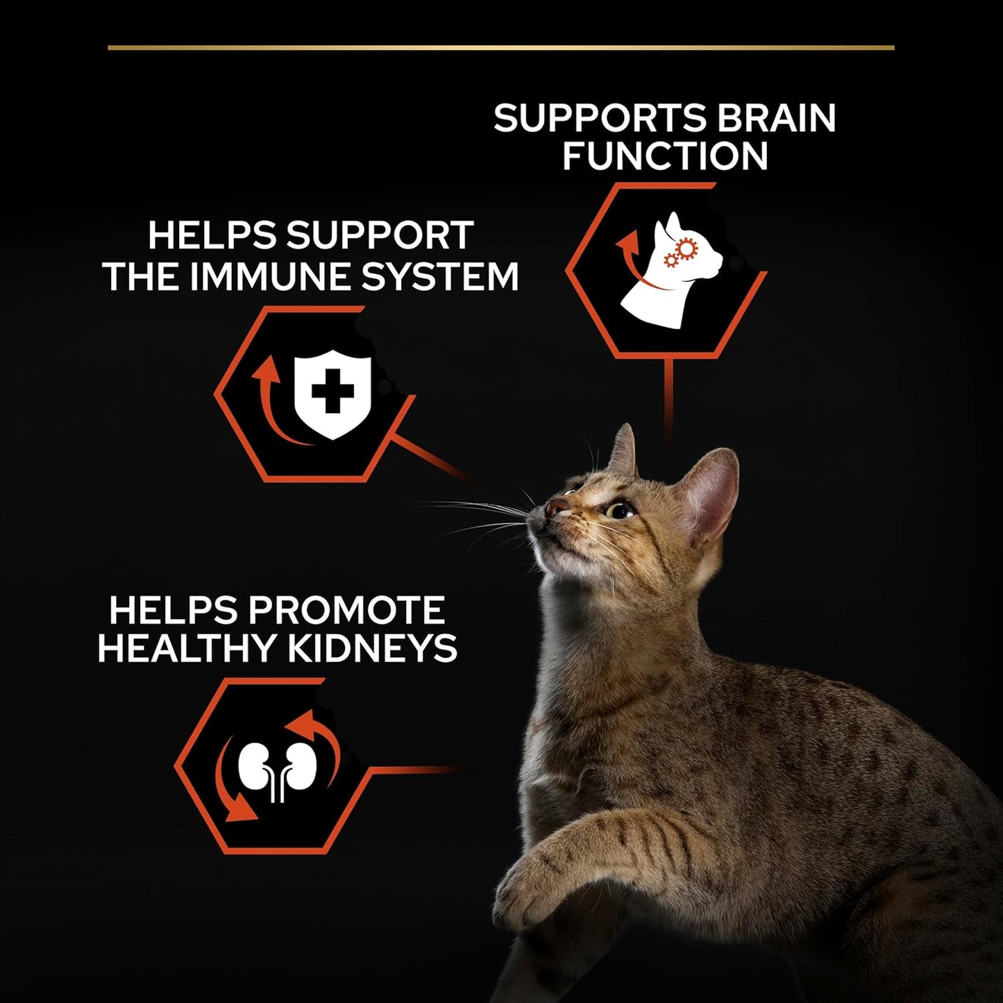 PRO PLAN® Adult 1+ RENAL PLUS Dry Cat Food