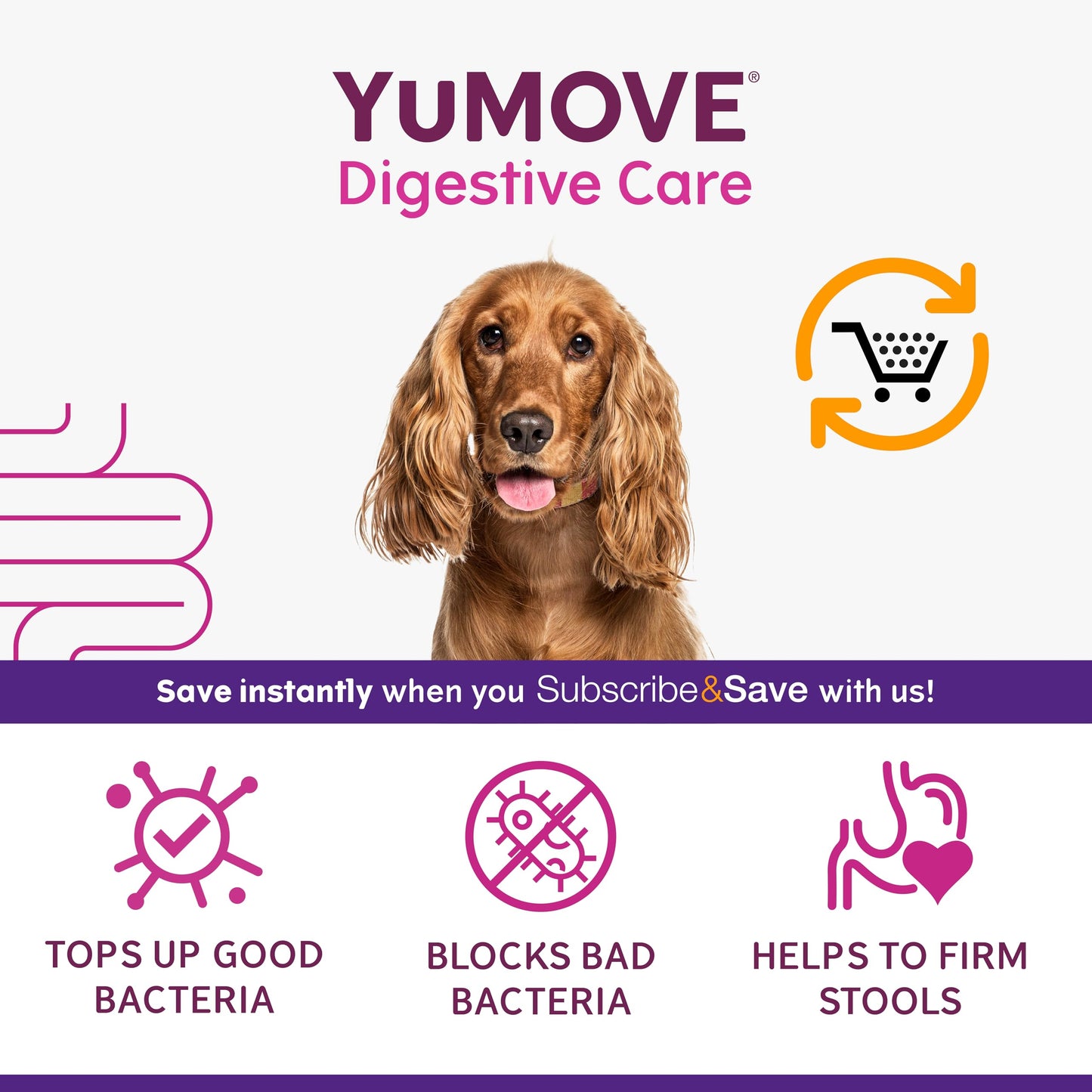 YuMOVE Digestive Care, Dog Pre and Probiotics Supplement for Gut Health, Digestive Support for All Ages and Breeds, 120 Tablets - Eco Friendly and Letter Box Ready Packaging