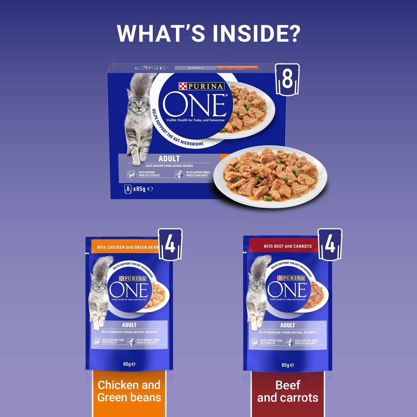 PURINA ONE Adult Cat Food Mini Fillets in Gravy 40 x 85g