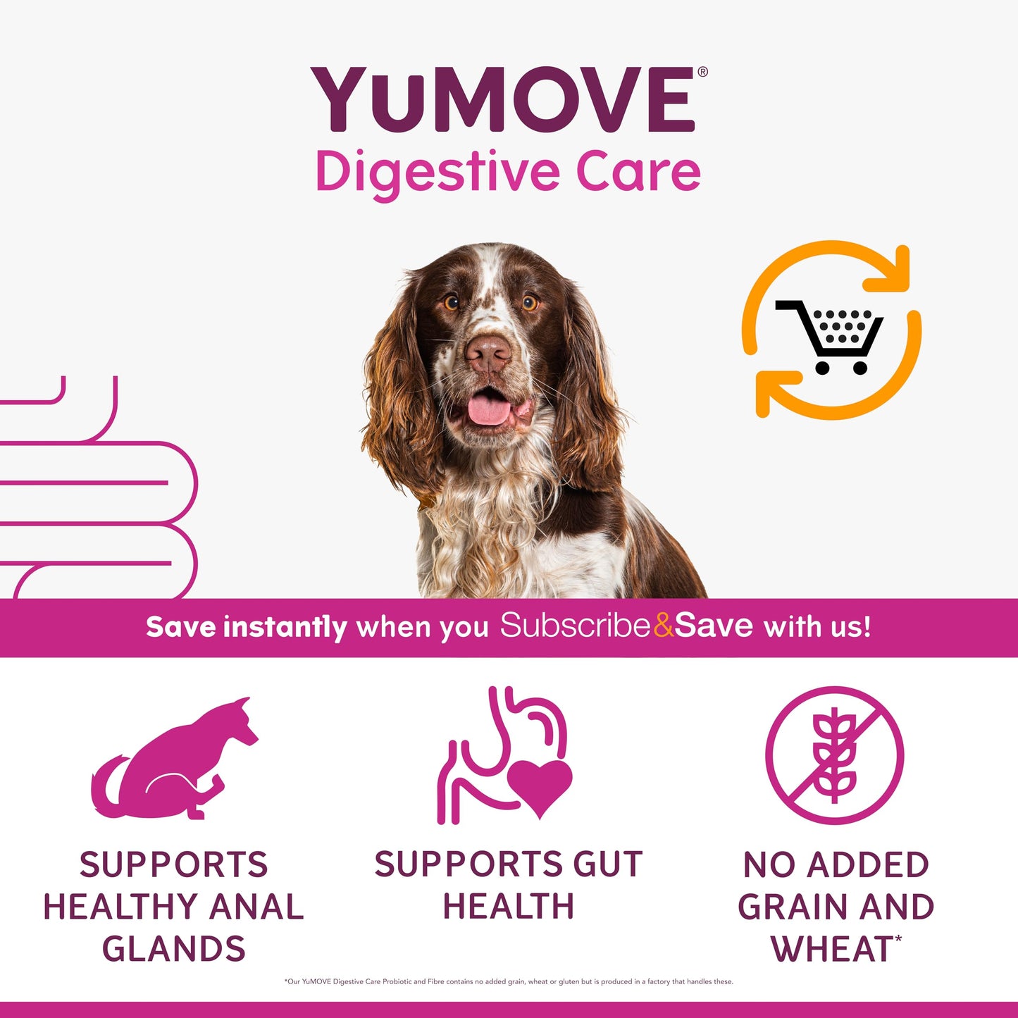 YuMOVE Digestive Care, Dog Pre and Probiotics Supplement for Gut Health, Digestive Support for All Ages and Breeds, 120 Tablets - Eco Friendly and Letter Box Ready Packaging