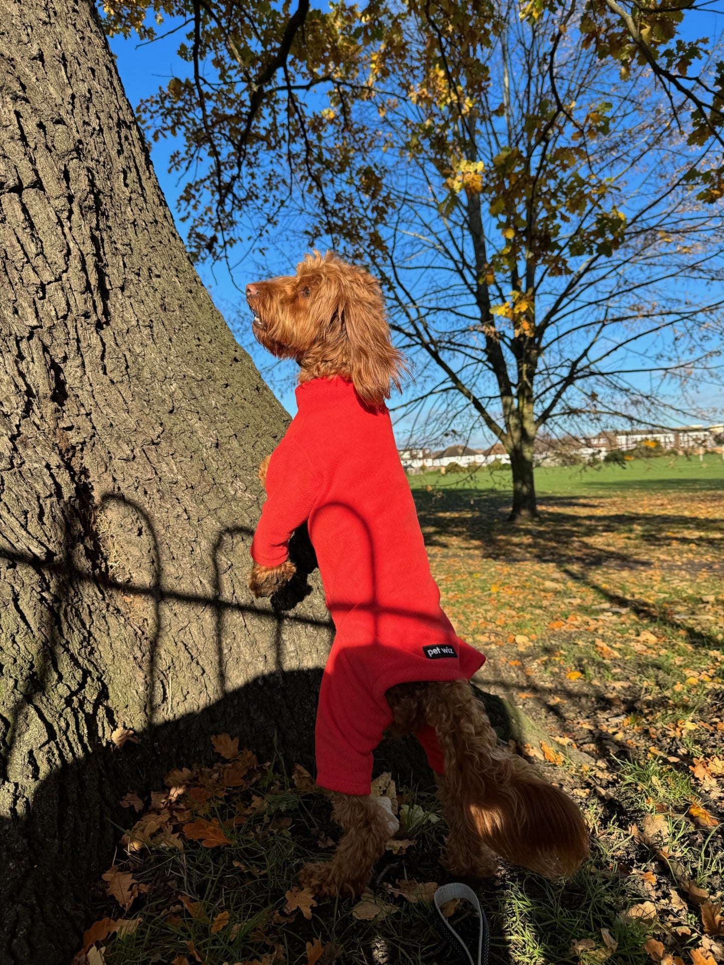 Warm Four-Legged Dog Fleece – Super Soft, Weather-Resistant, Available in a Range of Sizes and Colours