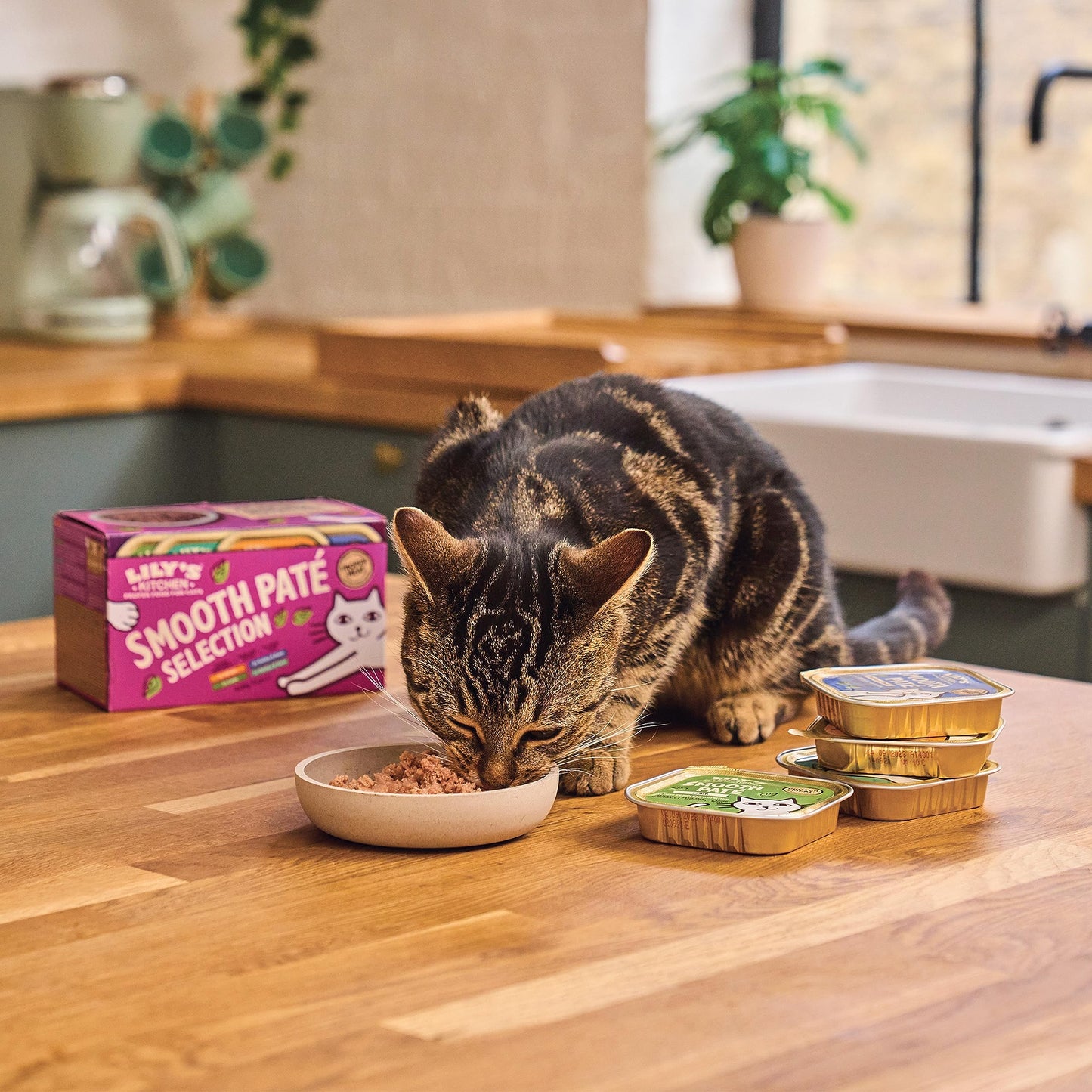 Lily’s Kitchen Smooth Paté Selection Complete Nutrition Adult Cat Food 4 x (8 x 85g)