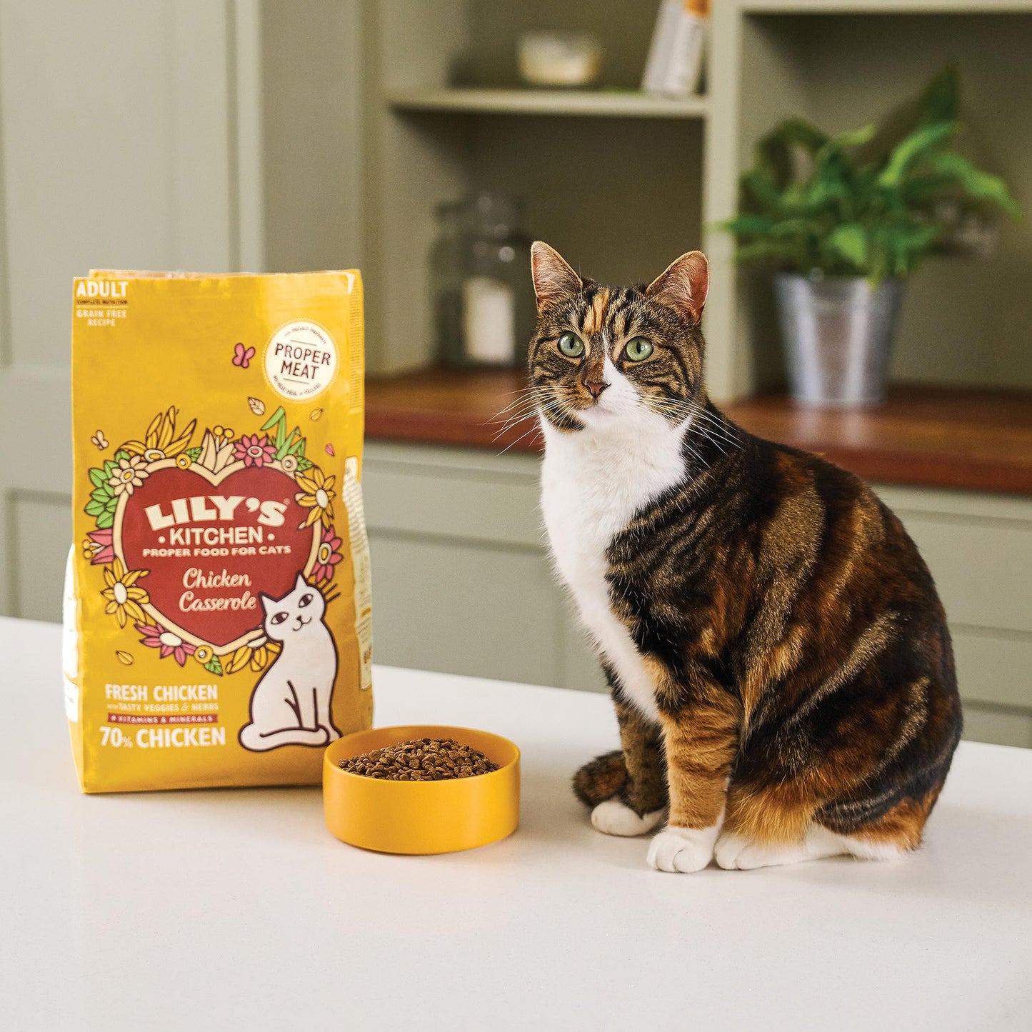 Lily’s Kitchen Smooth Paté Selection Complete Nutrition Adult Cat Food 4 x (8 x 85g)