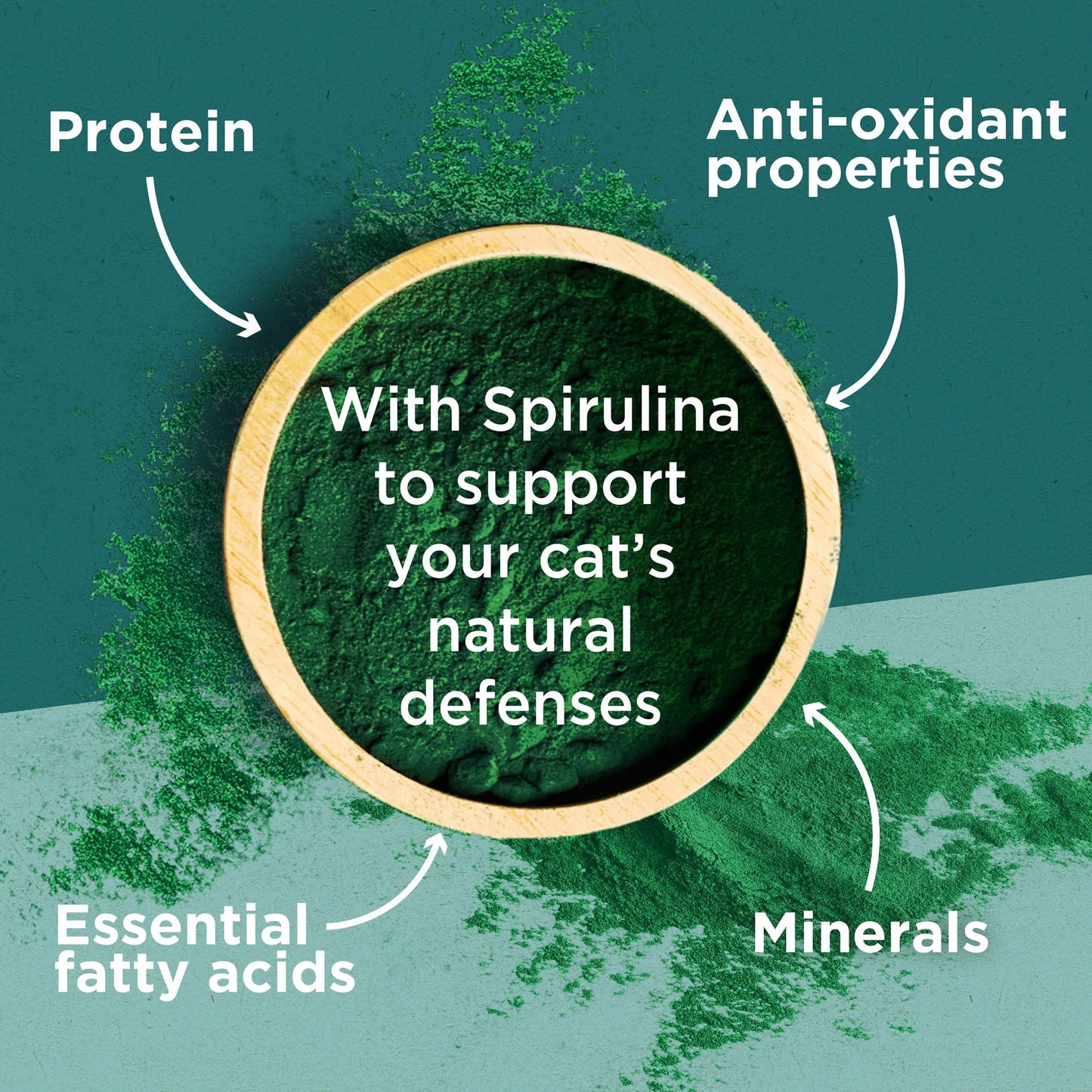 PURINA ONE Dry Cat Food