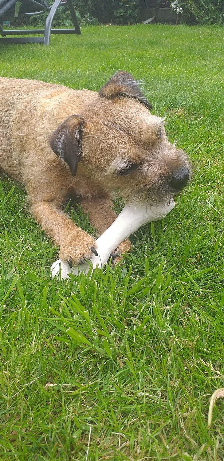 Bone Chew Toy for Dogs, Hardwearing, Durable Boredom Buster Dog Toy, Strong and Tough Toy for Dogs. Made in the UK. Made from Recycled Plastics. Helps Reduce Seperation Anxiety.