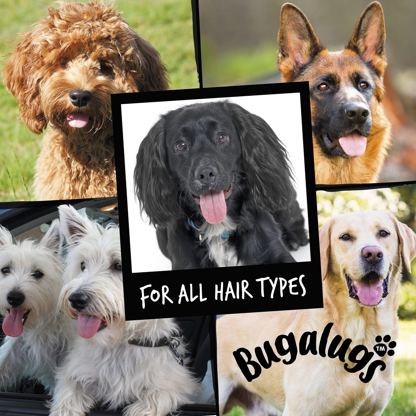 BUGALUGS Dog Shampoo and Conditioner with Luxury 2 in 1 Papaya & Coconut fragrance, professional puppy shampoo grooming products for smelly dogs