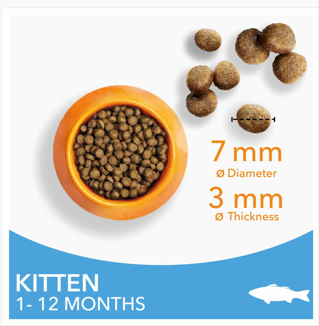 IAMS Ocean Fish Kitten 1-12 months 2 x 2kg