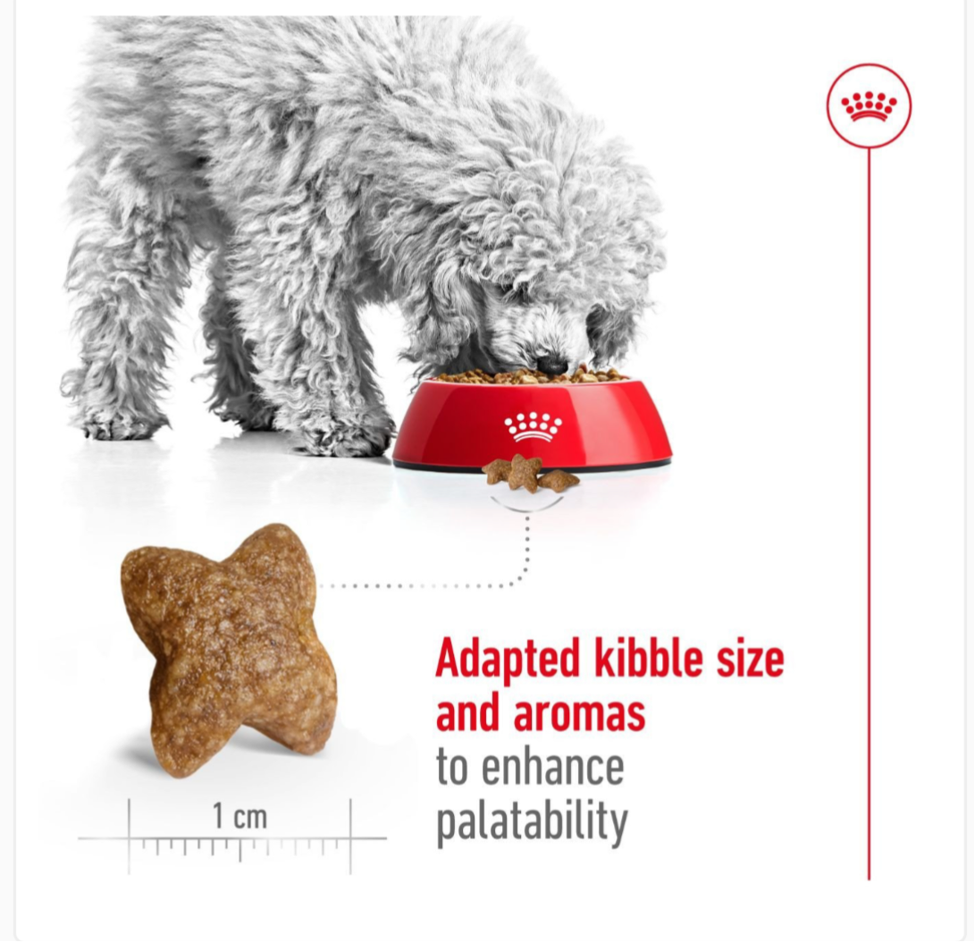Royal Canin Mini Adult 2kg
