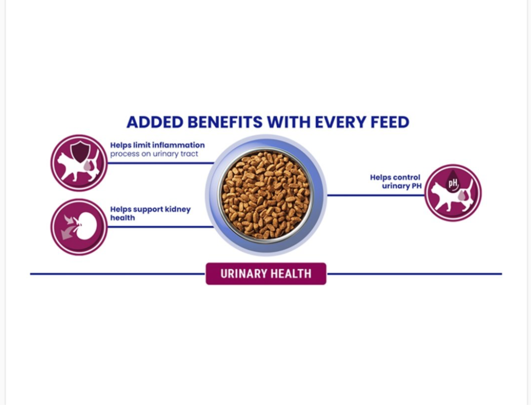 Purina One Adult Urinary Care Cat Chicken & Wheat 750g