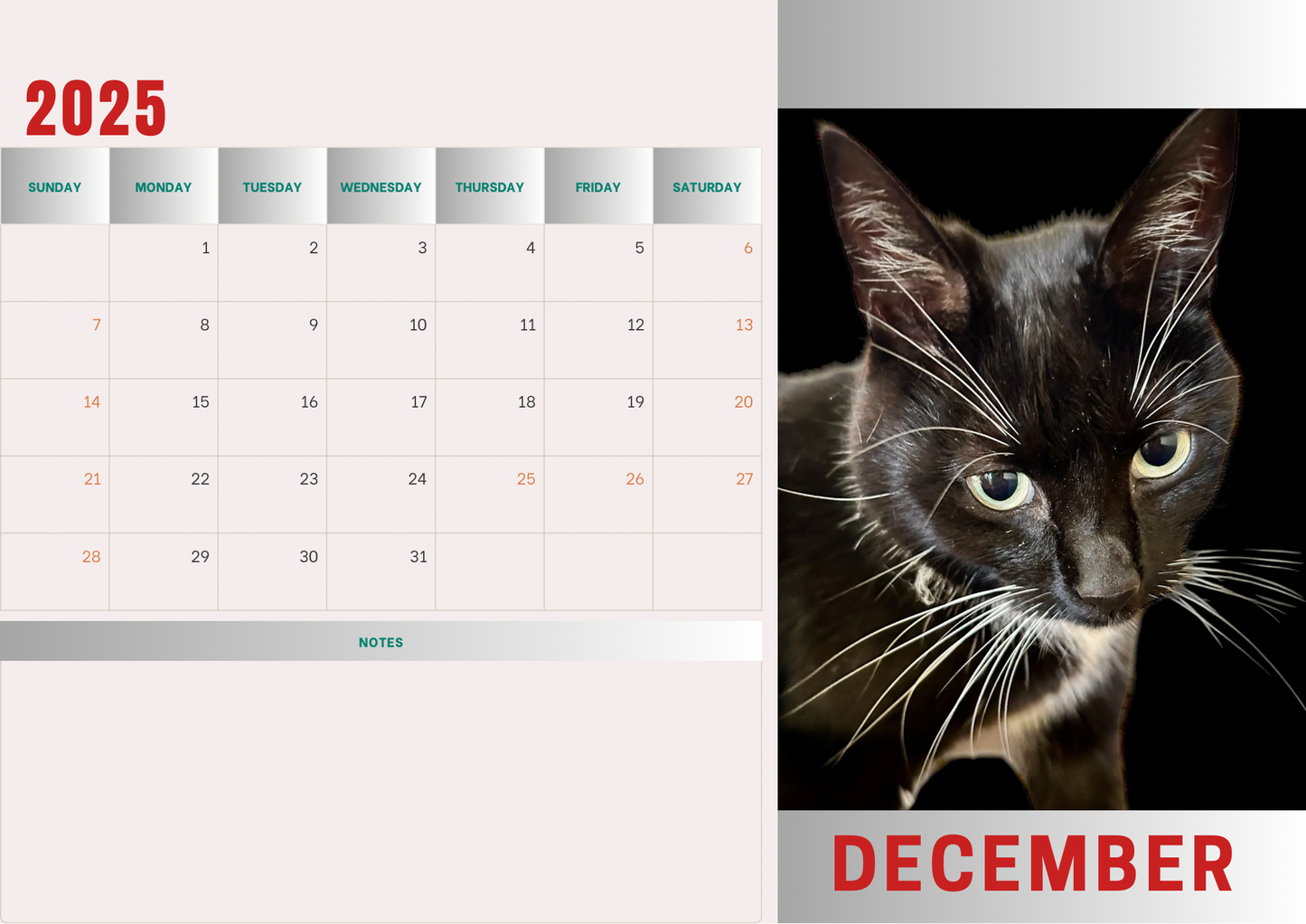 Cats calendars 2025 A4 landscape