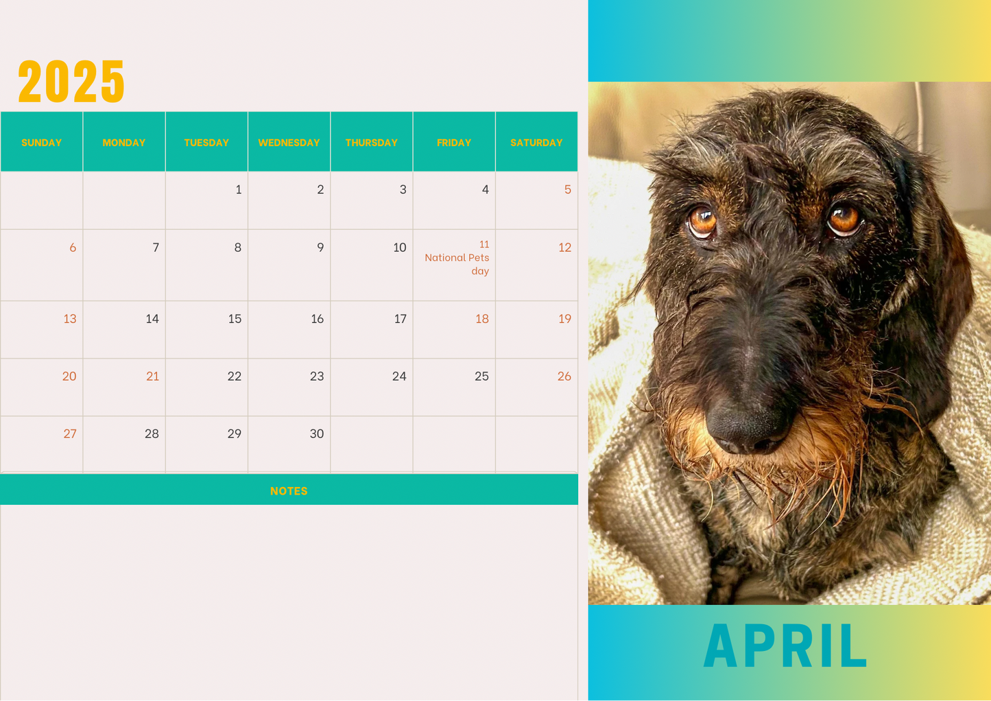 Dogs 2 calendar 2025 A4 landscape