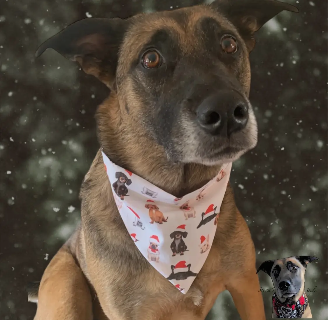 Dogs in Santa Hats Bandana