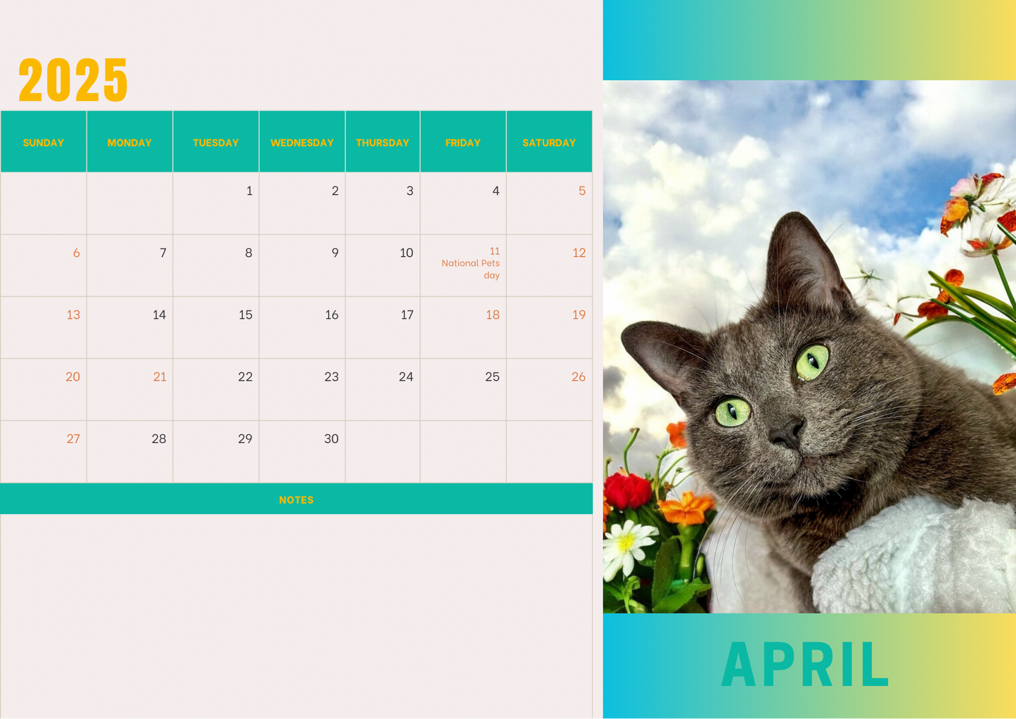 Cats calendars 2025 A4 landscape