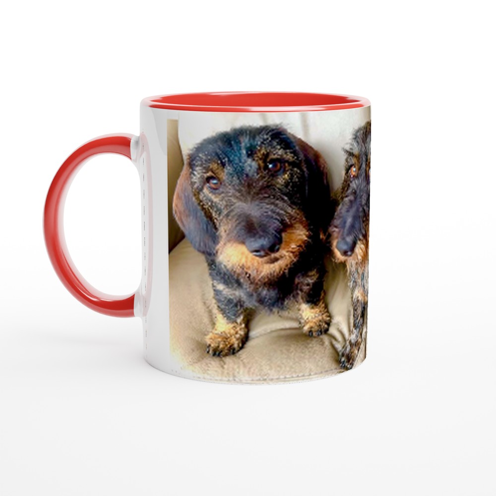 11924edc-ce00-49e6-ac16-d897aaa87b2c