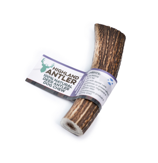 Nova Dog Chews Antler Bar - Medium
