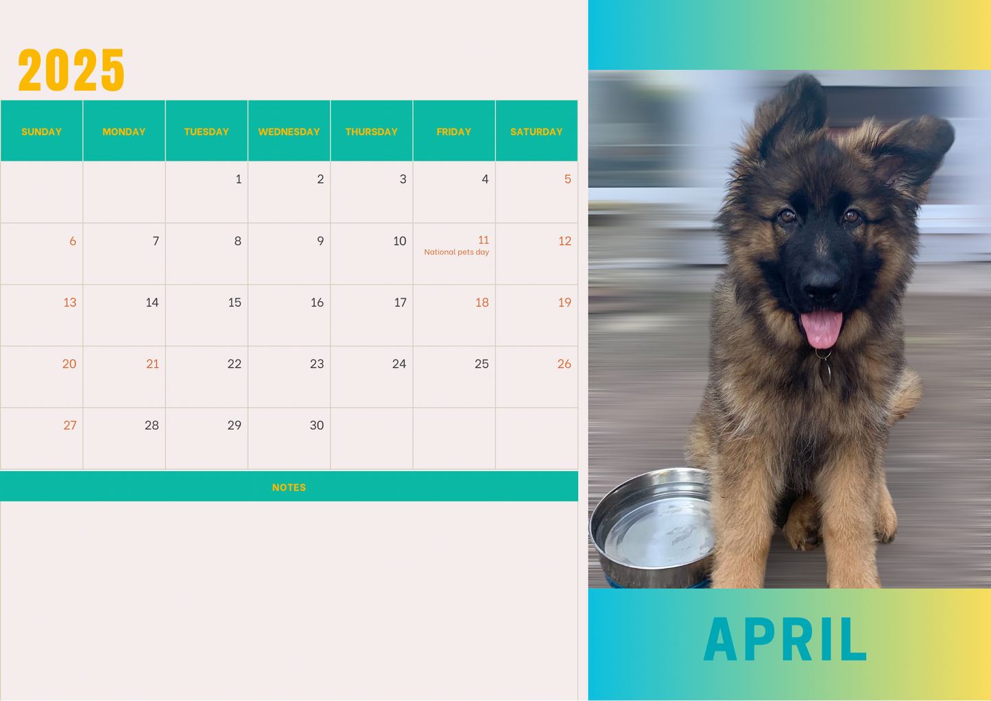 Dogs calendars 2025 A4 landscape