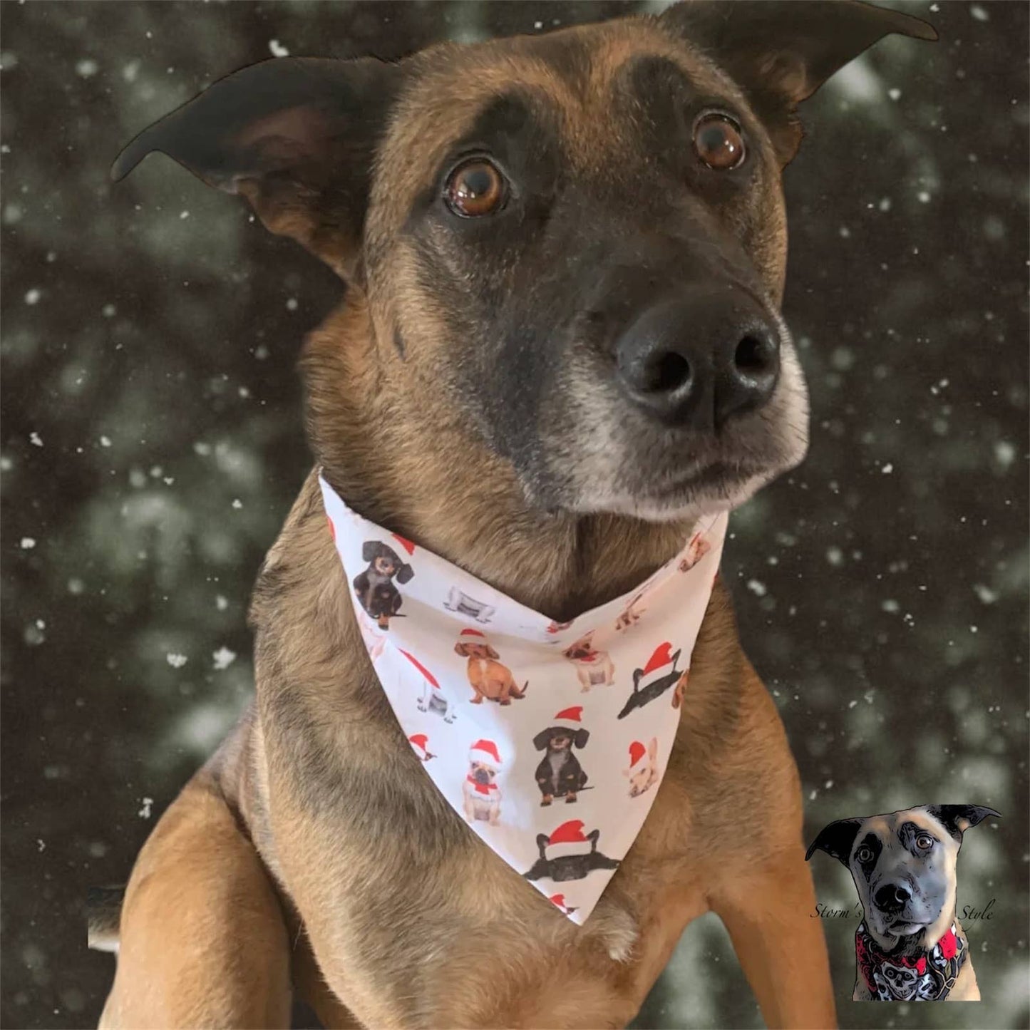 Dogs In Santa Hats Pet Bandanas - Dog Cat