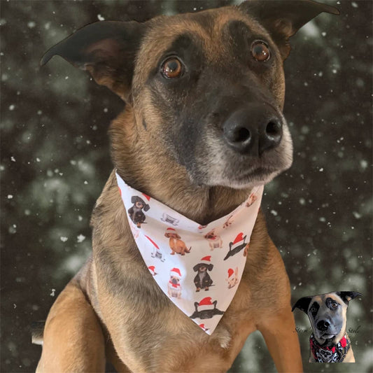 Dogs In Santa Hats Pet Bandanas - Dog Cat