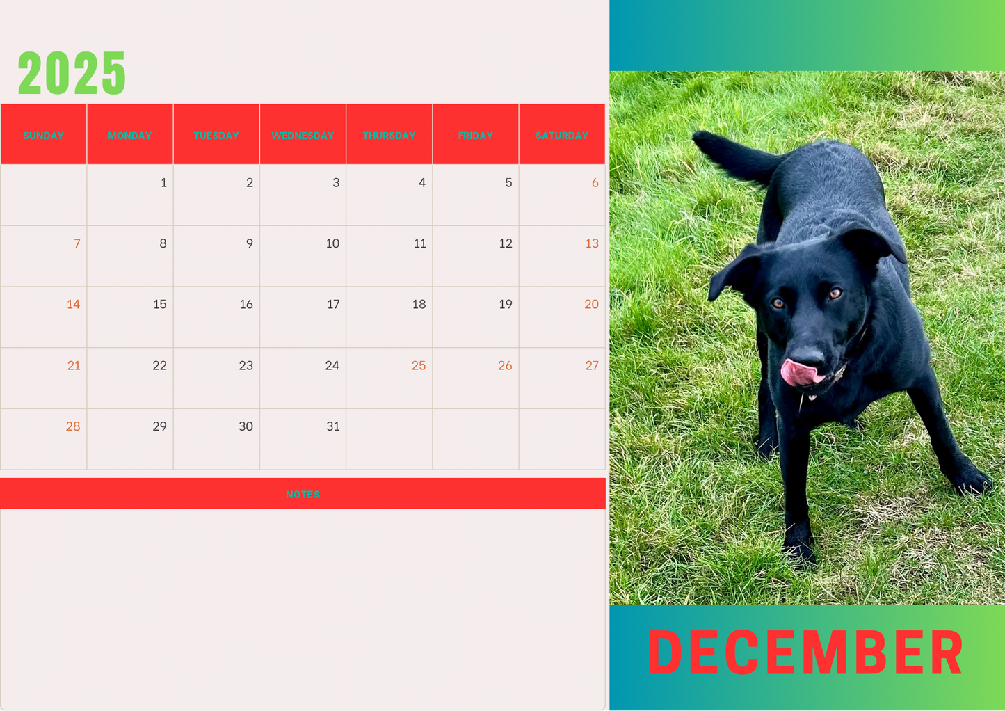 Dogs calendars 2025 A4 landscape