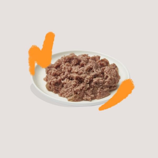 Edgard Cooper Grain Free Wet Cat Food Pate for Adult Cats (Salmon&Chicken 16 x 85g), Natural Cat Food in Cup for Sterilized or Active Cats, Fresh Meat, No Added Sugar